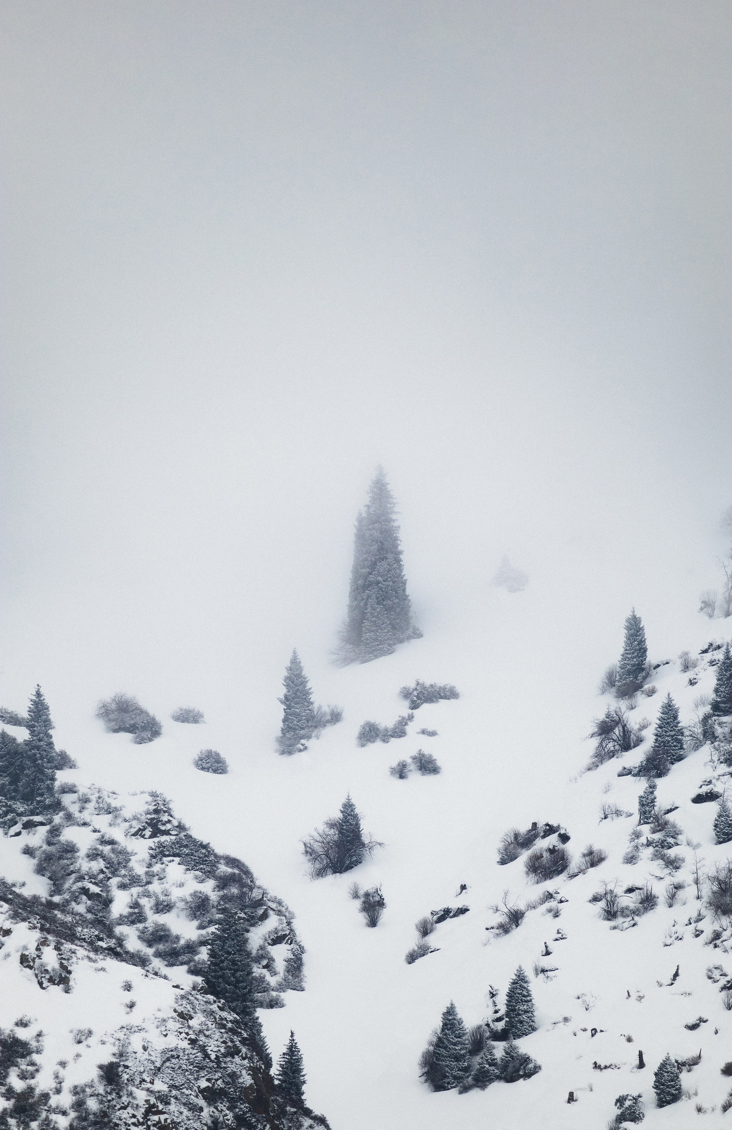 Жизнь. Фотограф Алматы | Весь мир — Никита Колодин