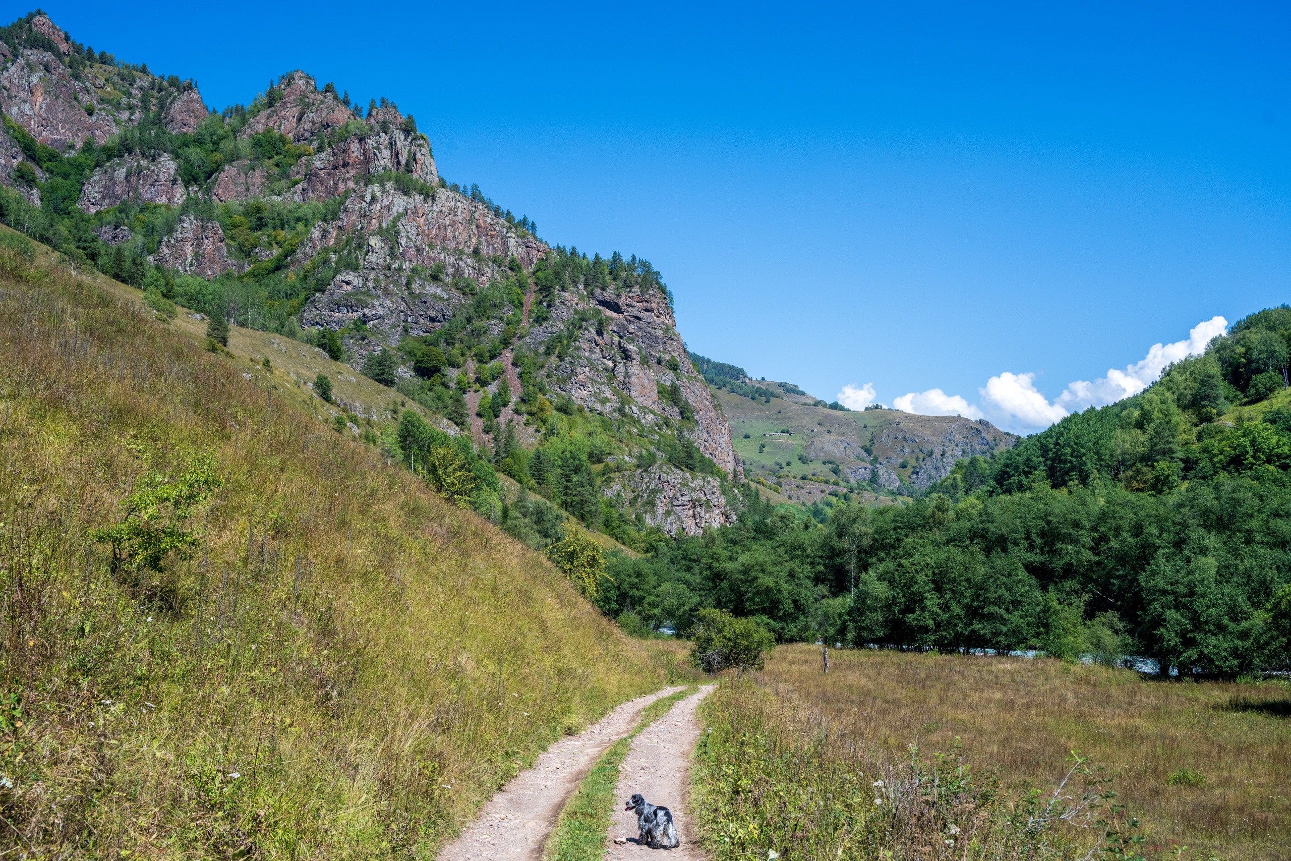 Экспедиция 2024