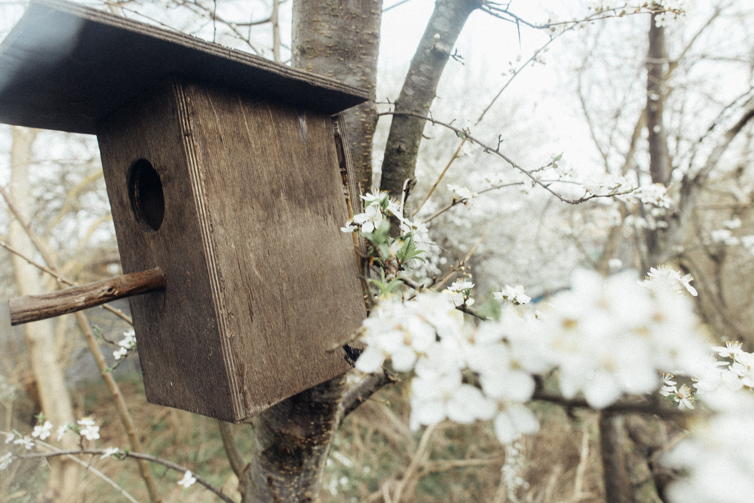 Маша и девочки. Семейный фотограф в Краснодаре Анна Пасик