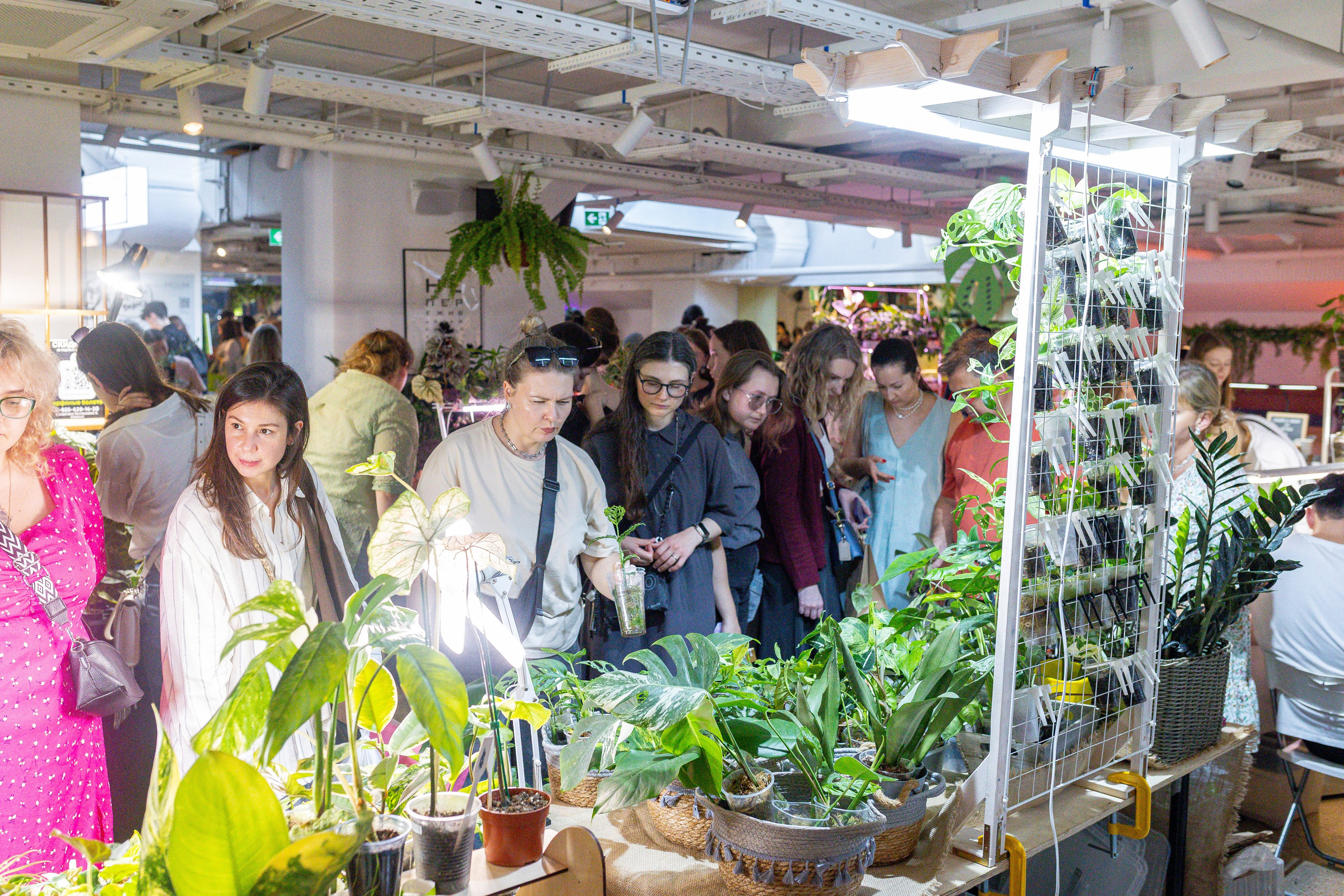 Growbox 5лет. Александра Куликова фотограф, Москва