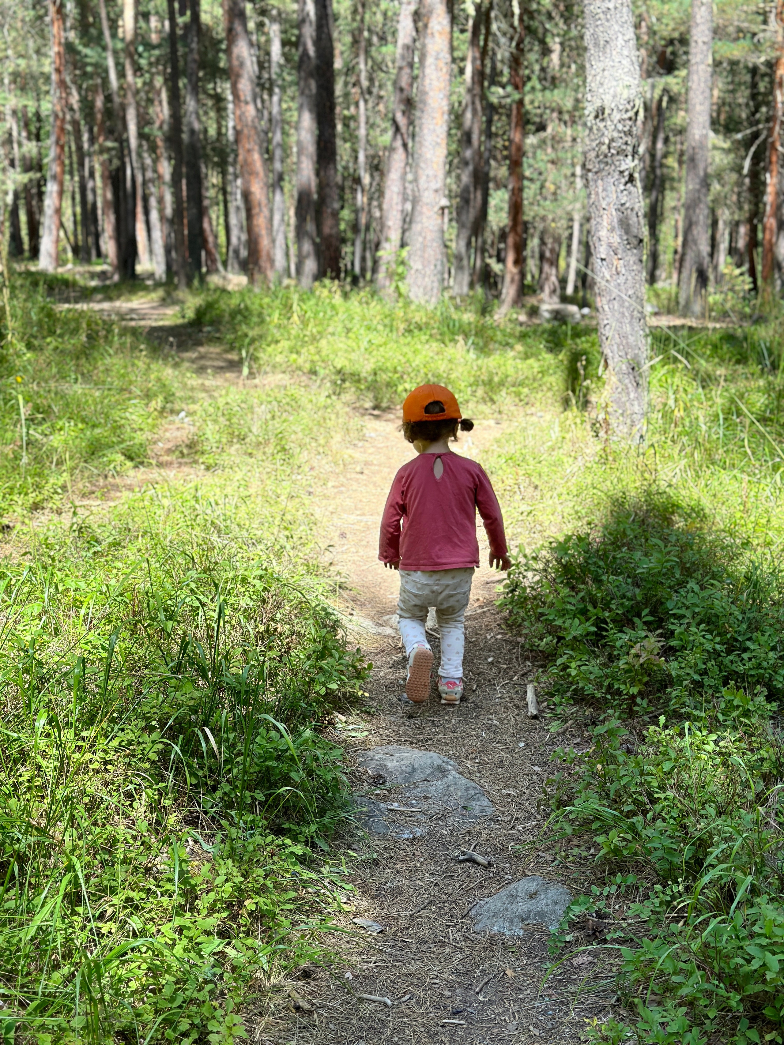 Дети. Смотри, красота!