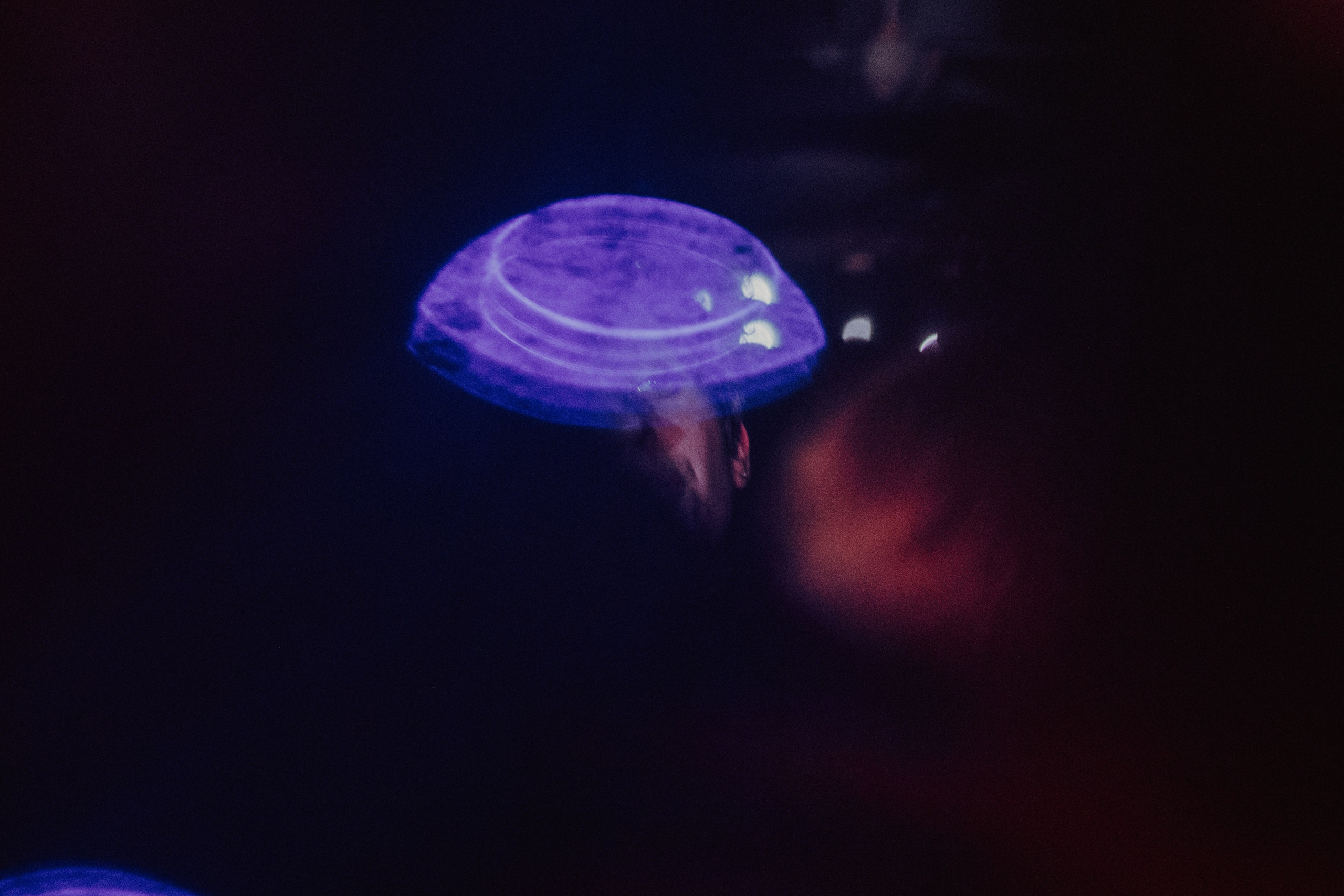 ФИРМЕННЫЙ ФЕСТ. Фотограф Елена Богачева (lenalena_na_na_na)