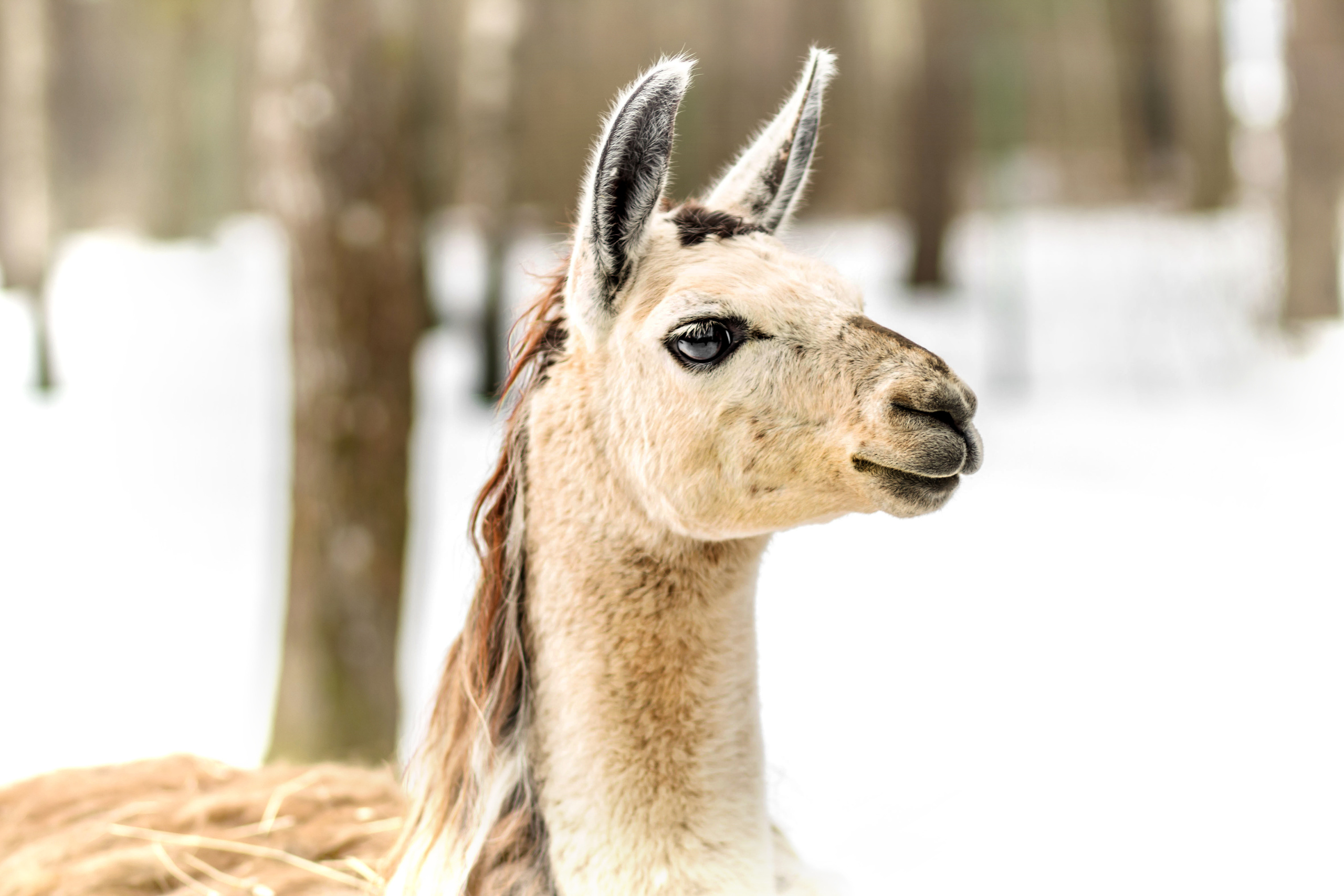 Свадьба в стиле рустик в Минске. Семейный фотограф в Минске Приболовец Светлана