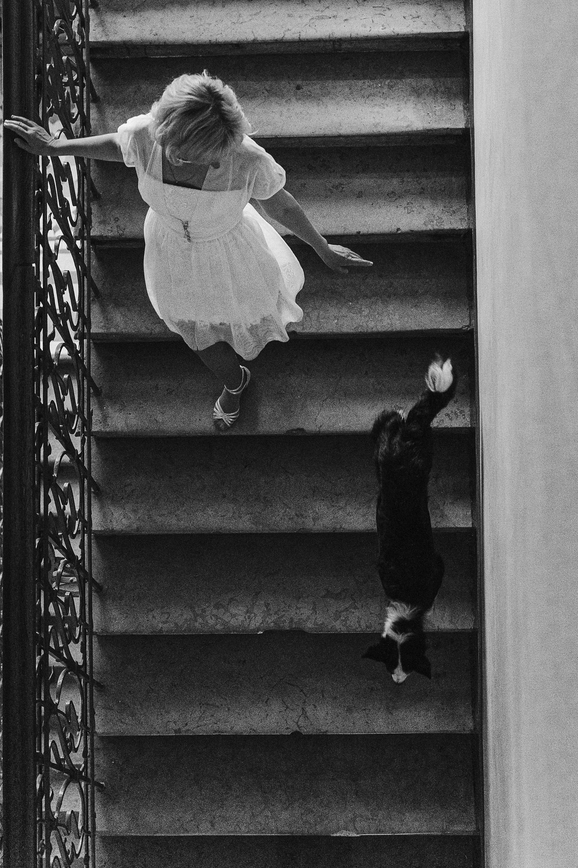 Таня, Марта и Клипса. Фотограф анималист в Москве и Санкт-Петербурге Свиридова Анна