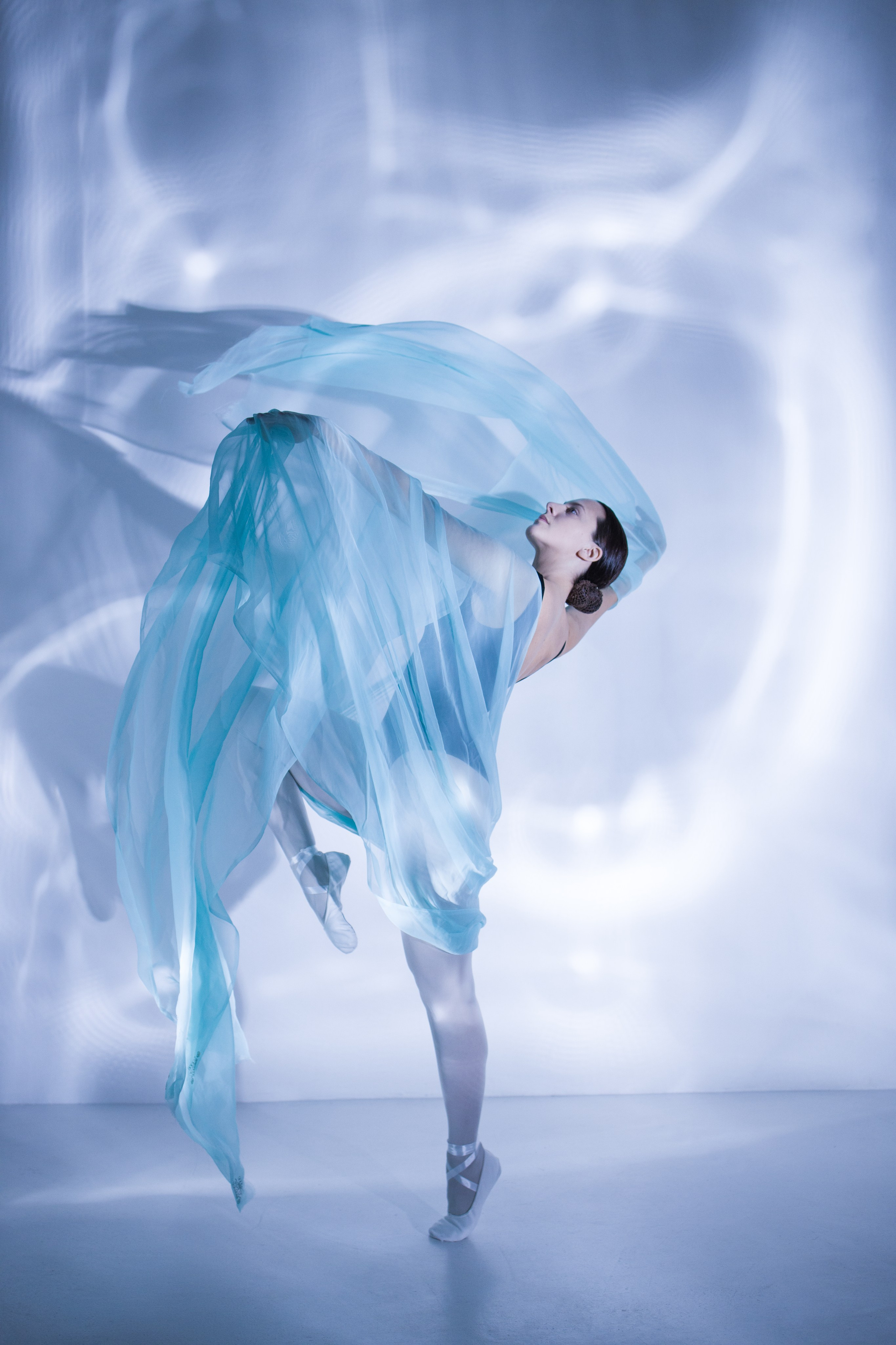 Лилия. Художественная фотография