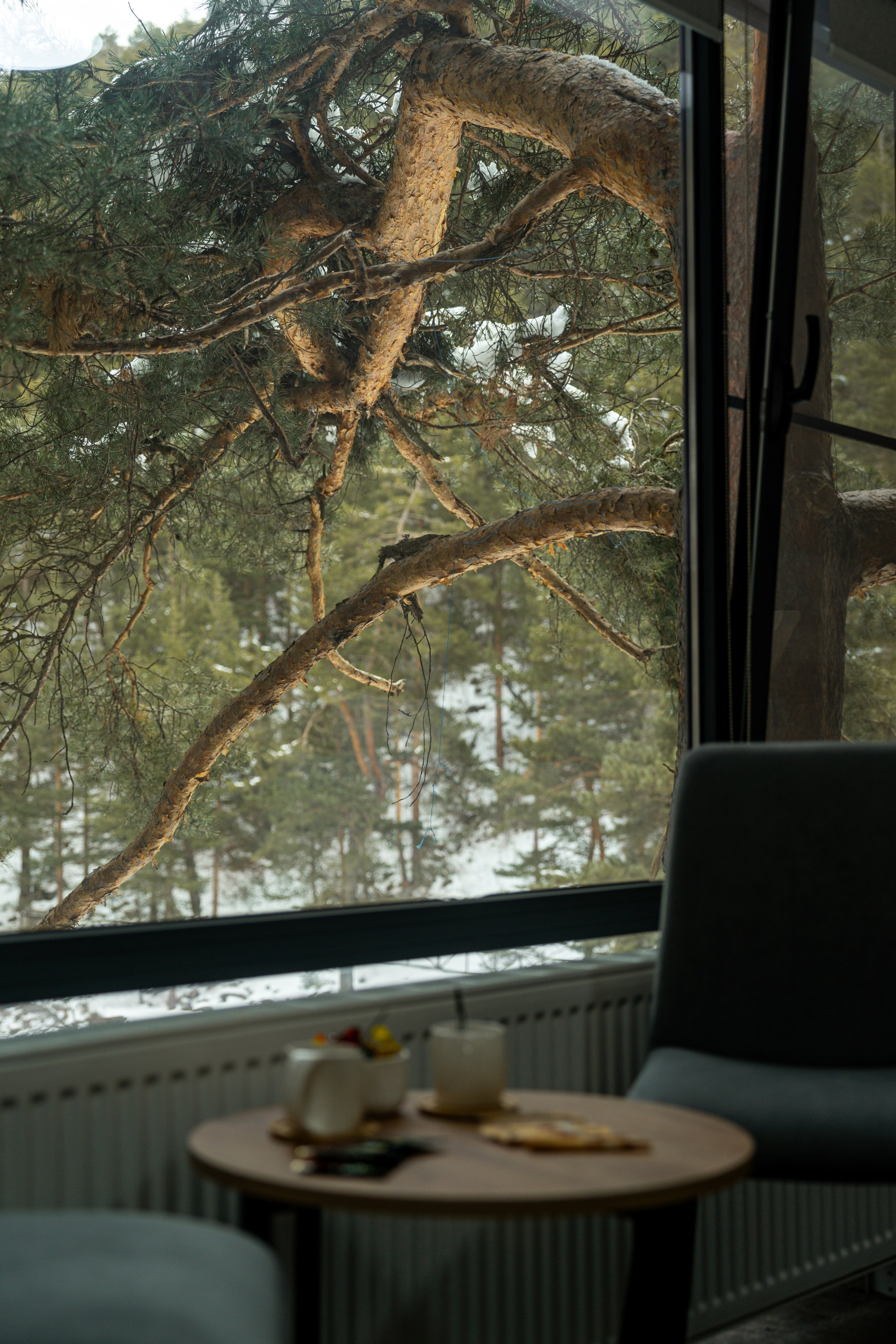 Эклер. Фотограф и видеограф Елена Хмелевская