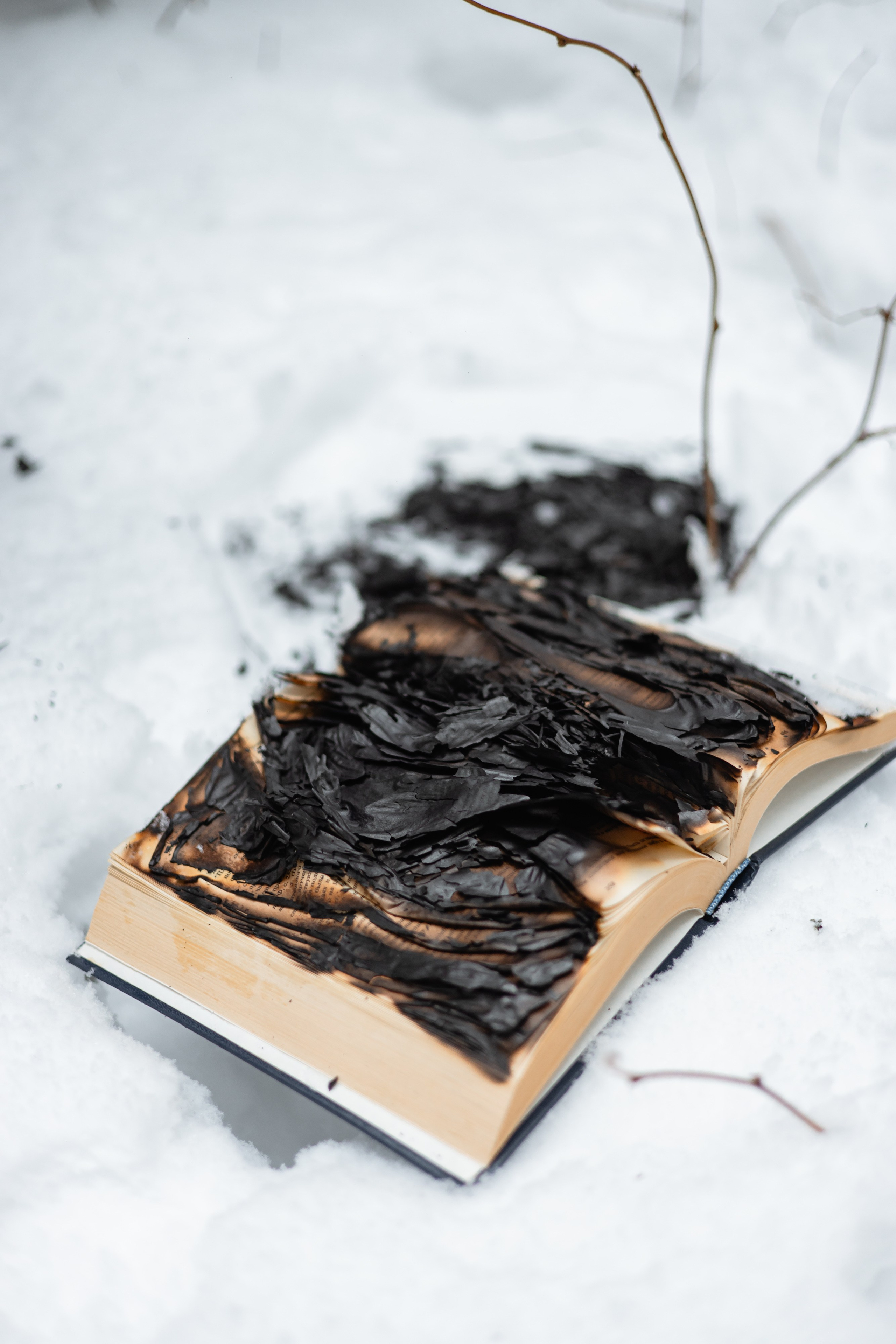 Индивидуальные. Главная