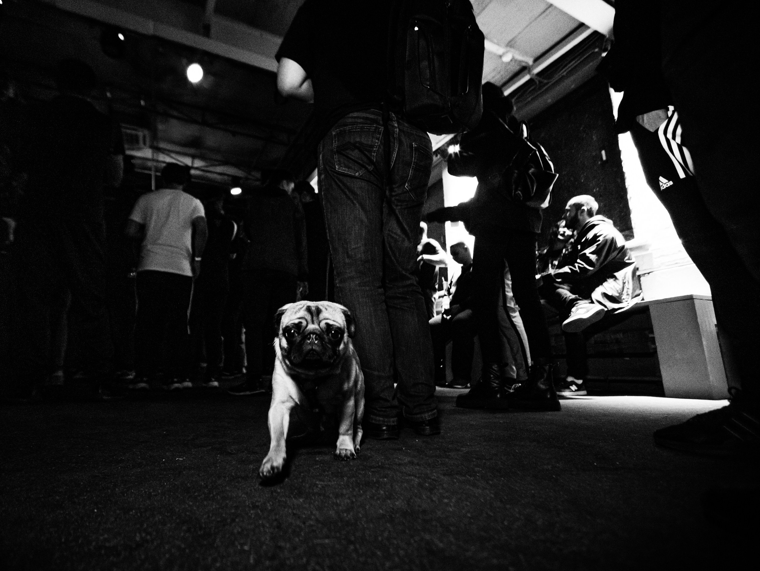 Роад трип TRNA СПБ-Москва 2021. Фотограф Мария Немм