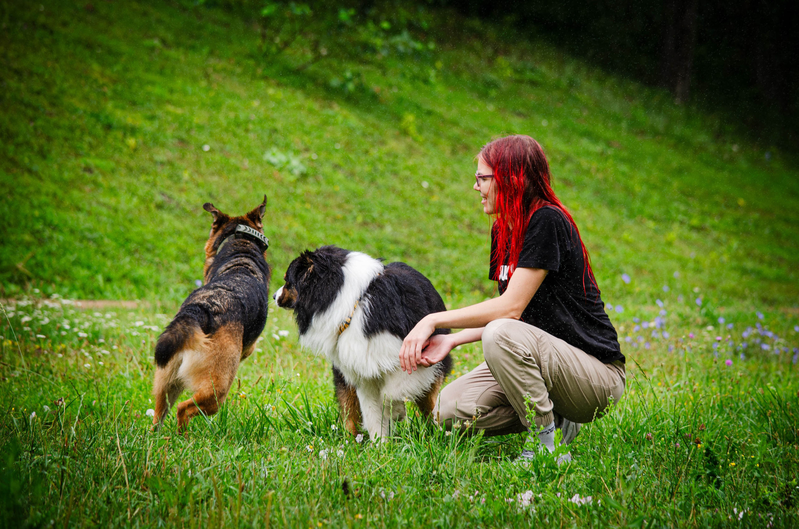 Арья и Оззи. Фотограф Светлана Блинова, Москва и Московская область