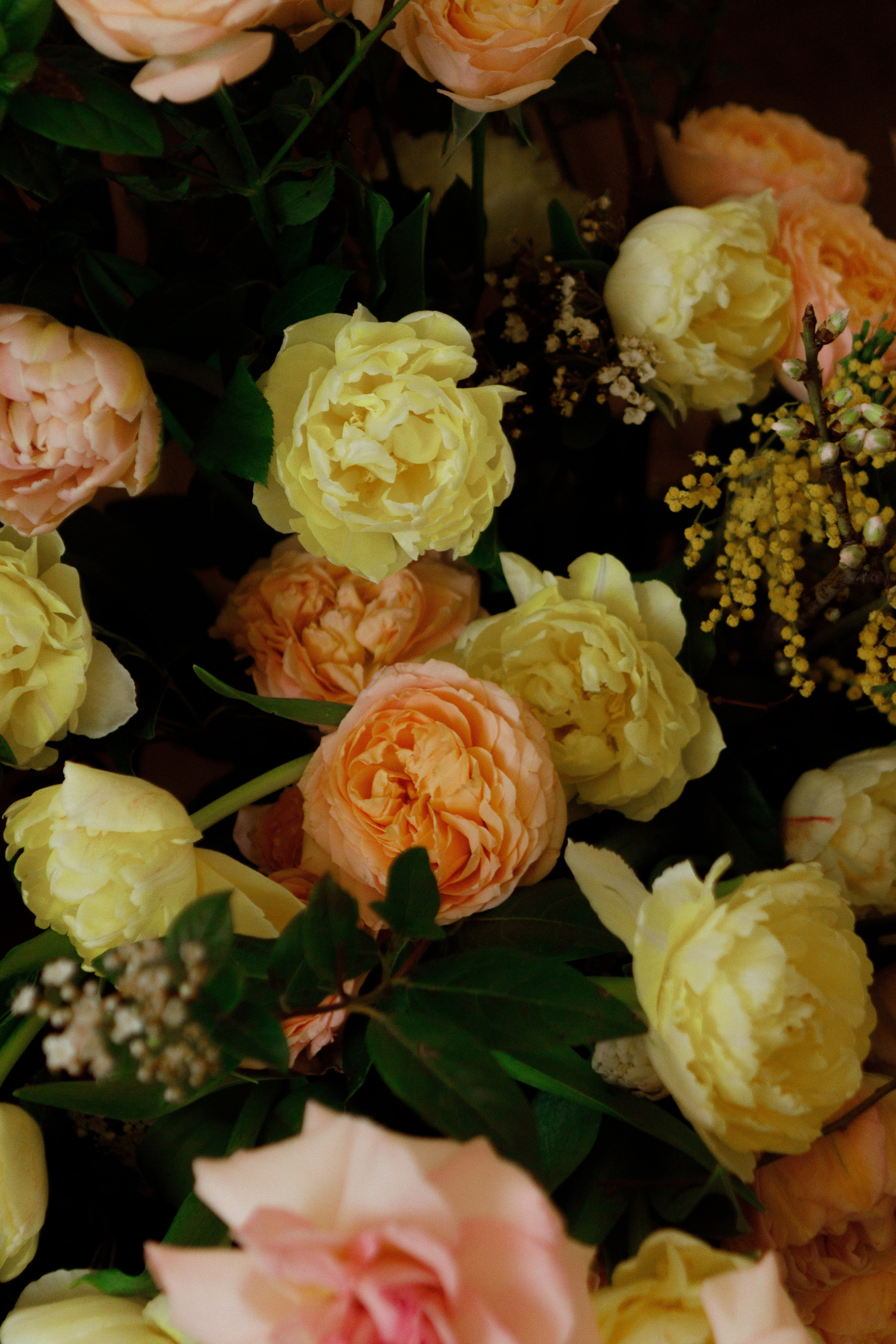 Влад & Алиса. Свадебный фотограф Ростов на Дону / Таганрог — Усачева Анастасия