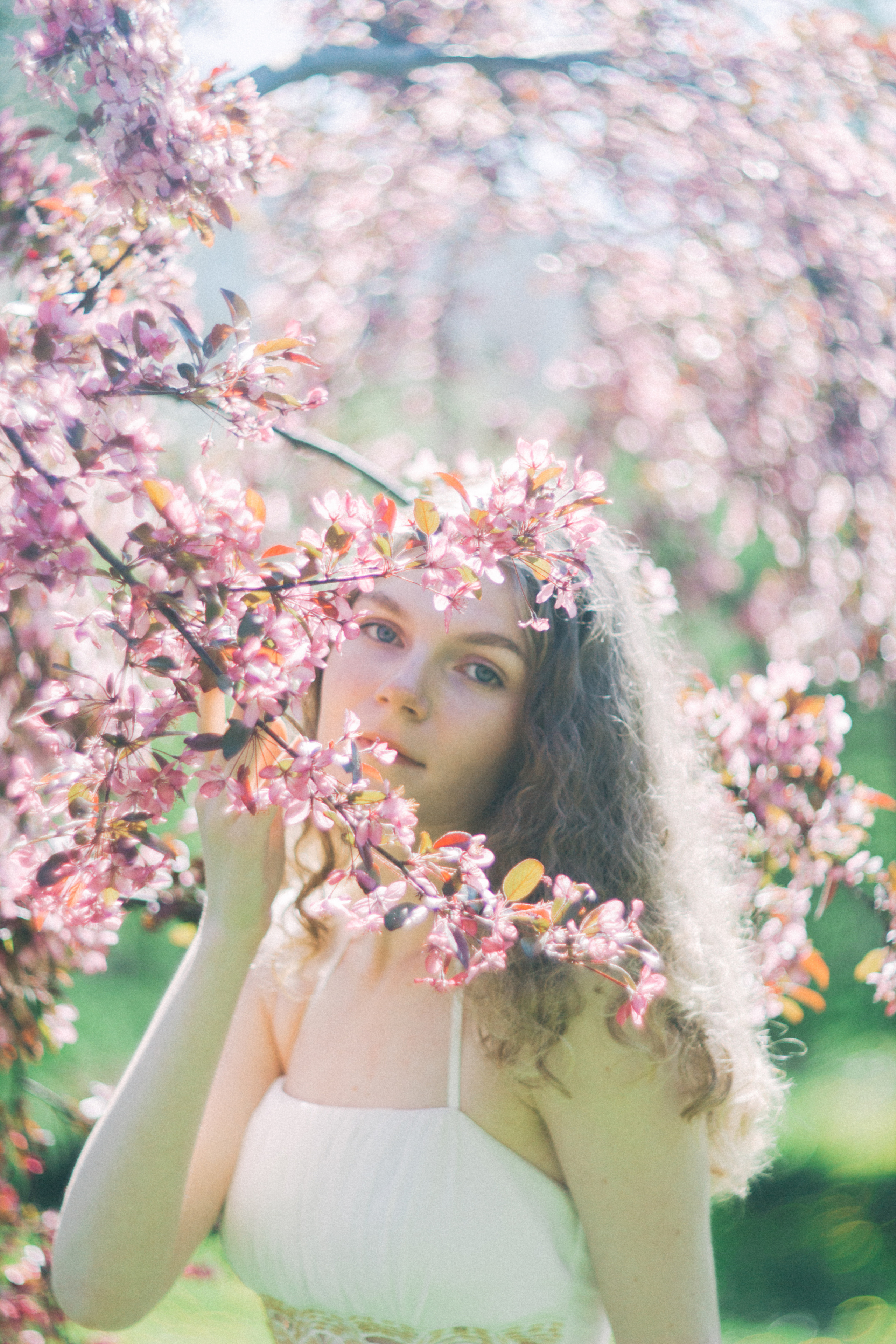 Катя. Яблоневые сады. Фотограф в Санкт-Петербурге Матвиенко Яна