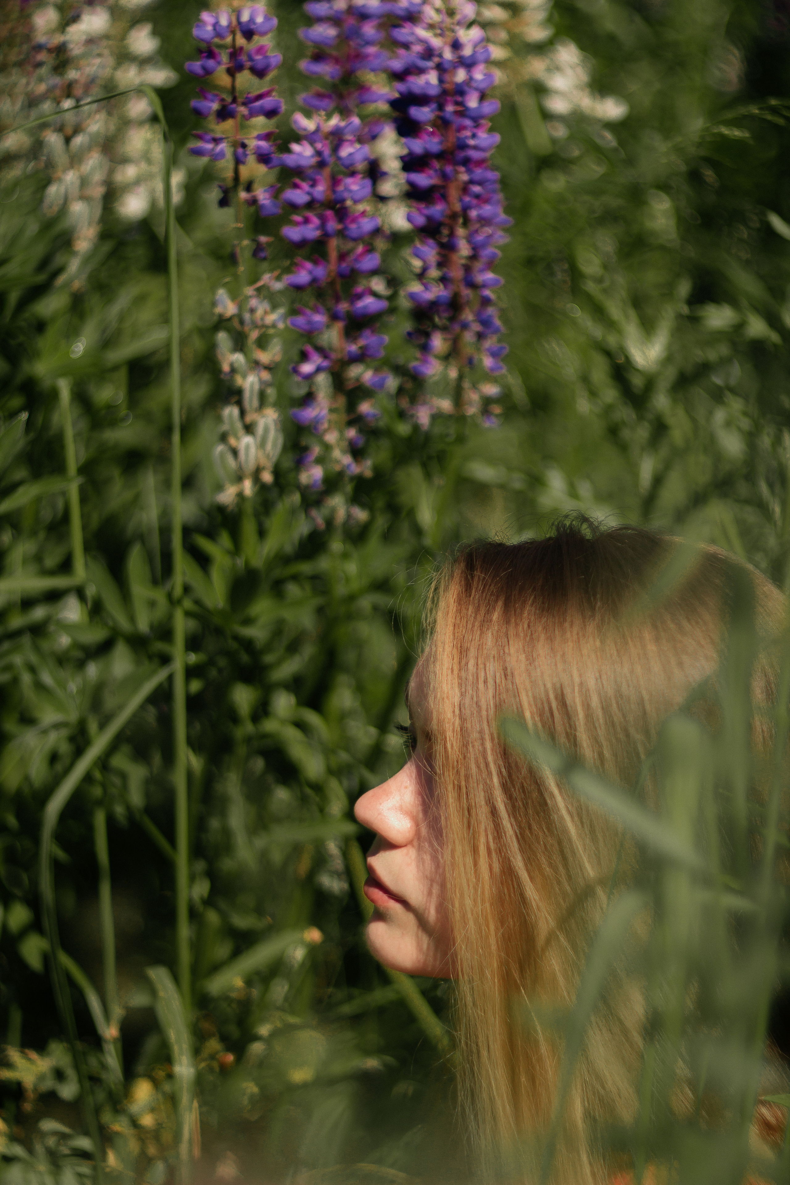 Люба. Люпины. Фотограф в Санкт-Петербурге Матвиенко Яна