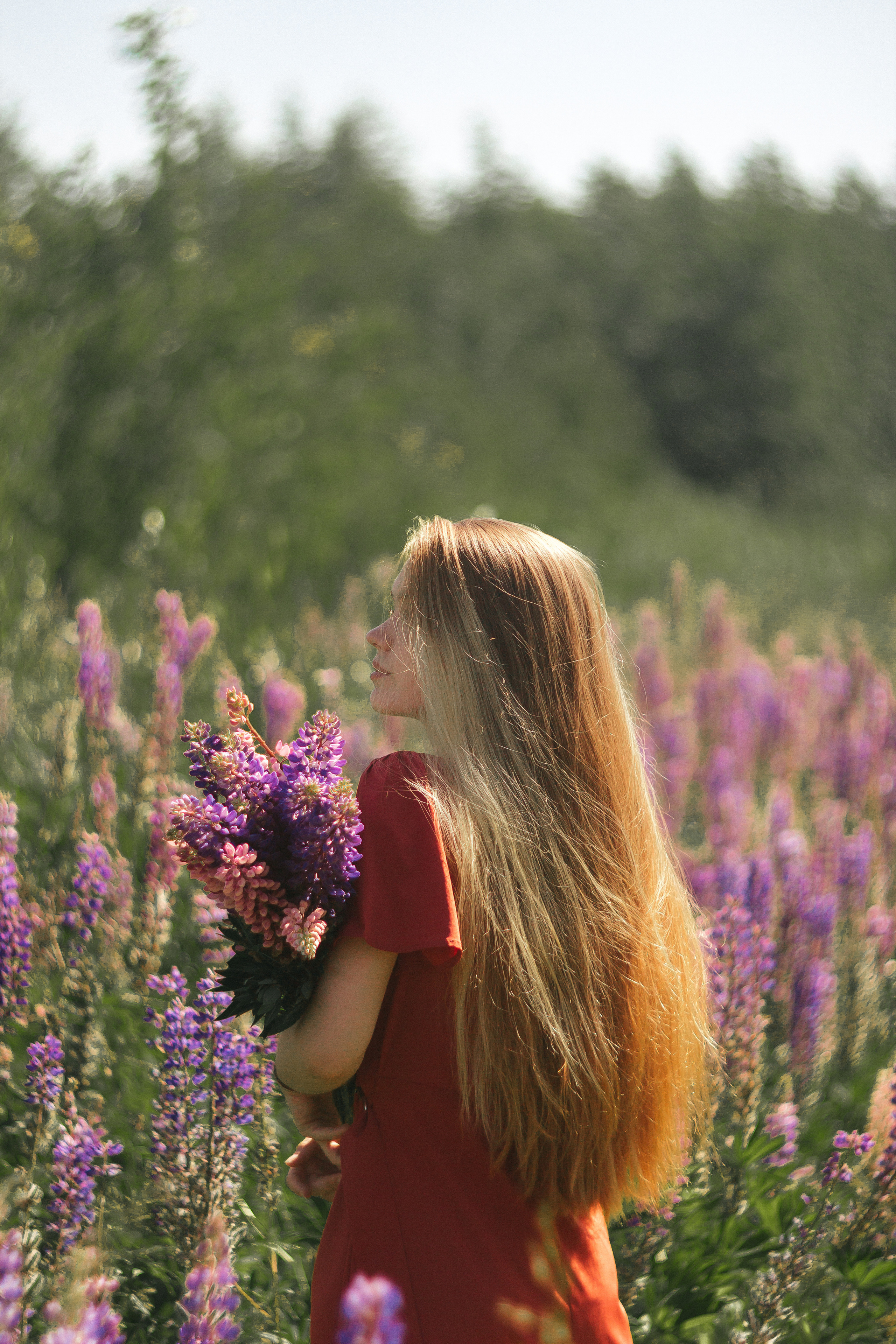 Люба. Люпины. Фотограф в Санкт-Петербурге Матвиенко Яна