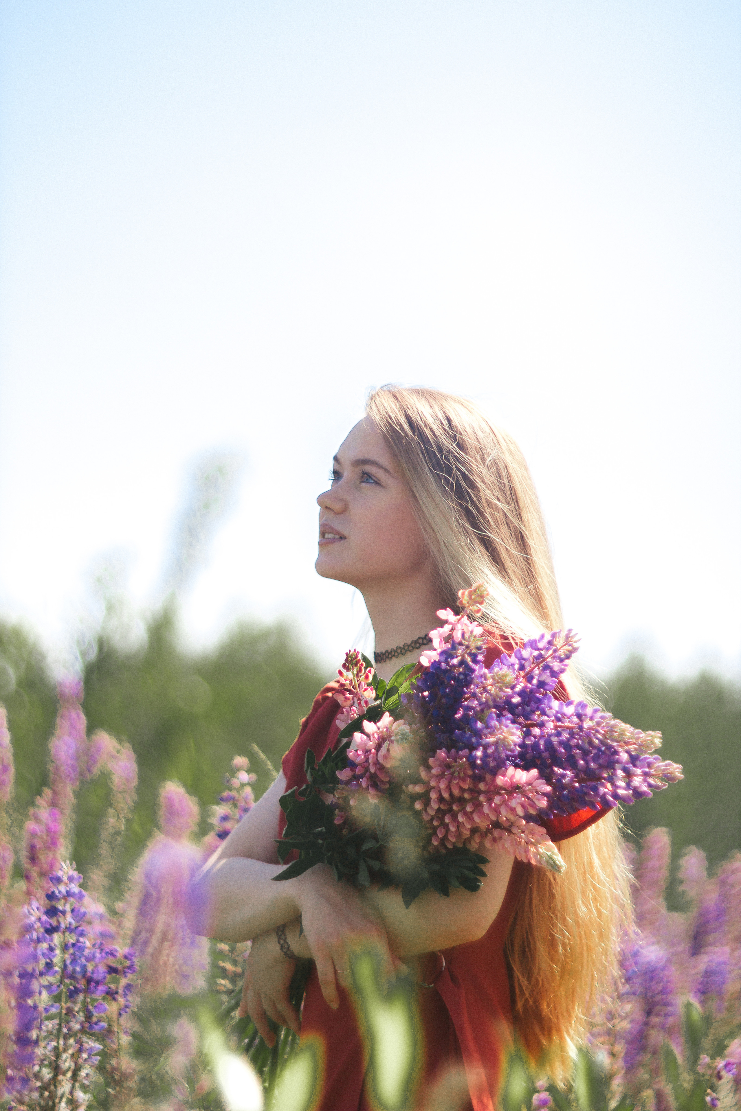 Люба. Люпины. Фотограф в Санкт-Петербурге Матвиенко Яна