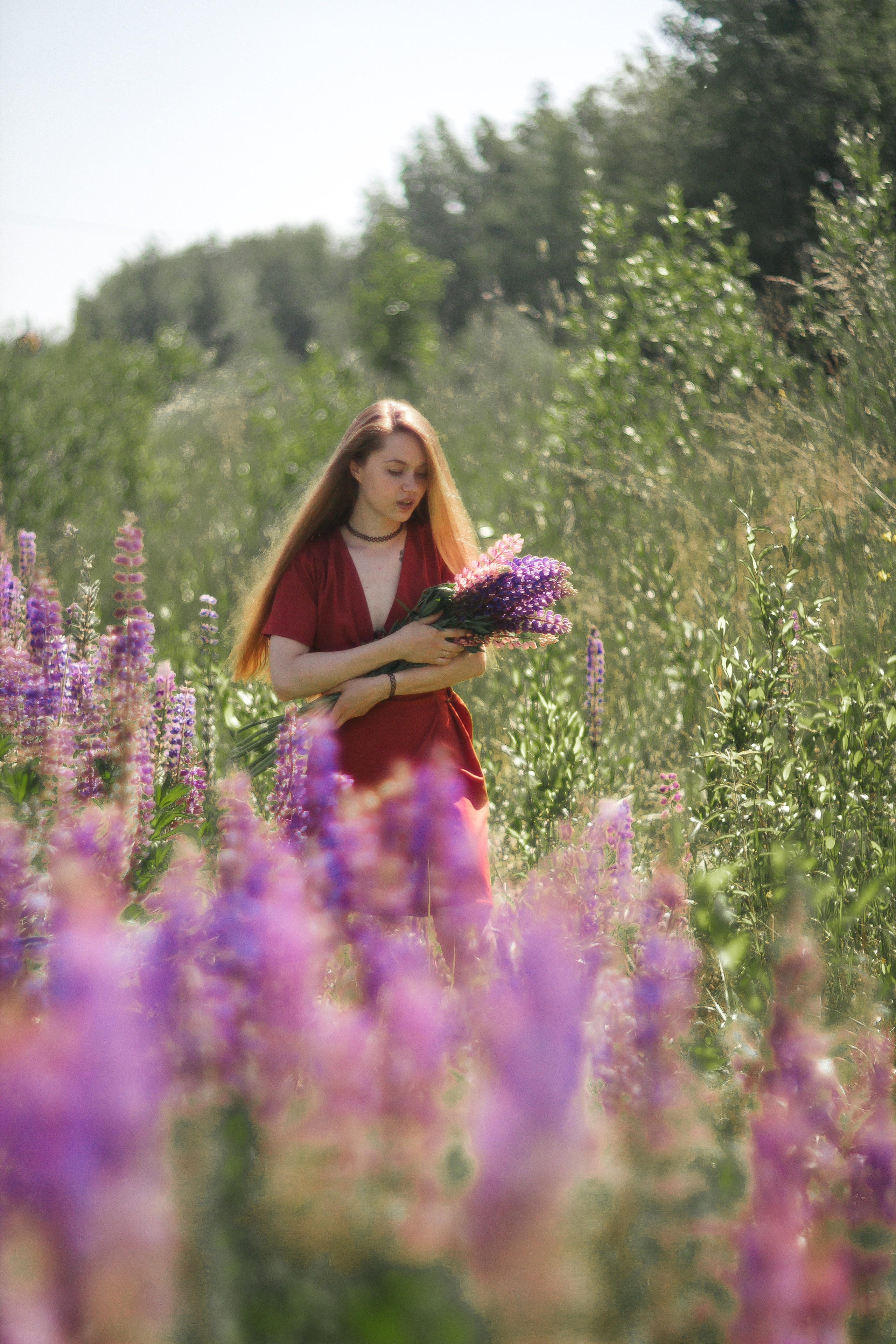 Люба. Люпины. Фотограф в Санкт-Петербурге Матвиенко Яна