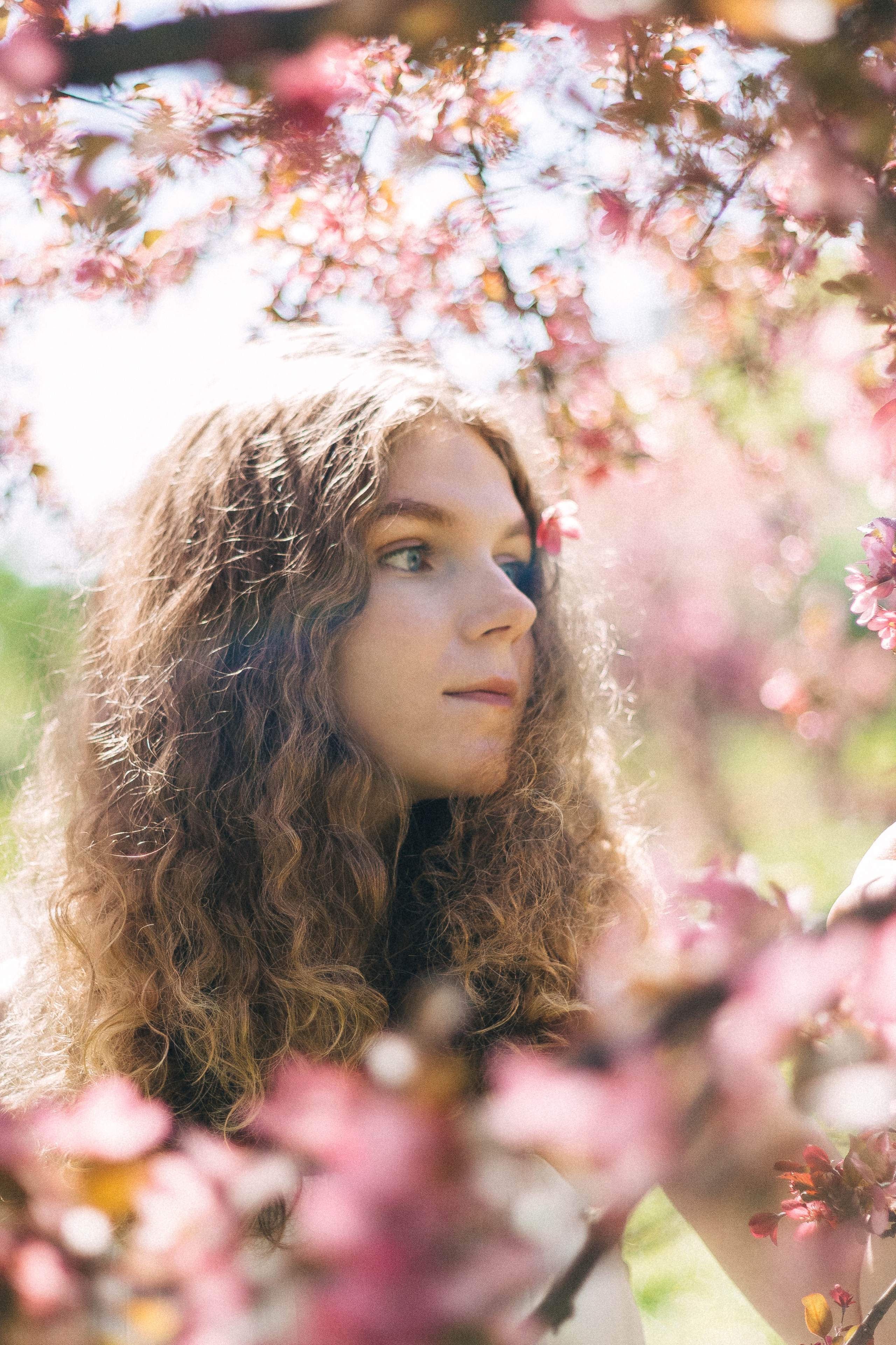 Катя. Яблоневые сады. Фотограф в Санкт-Петербурге Матвиенко Яна