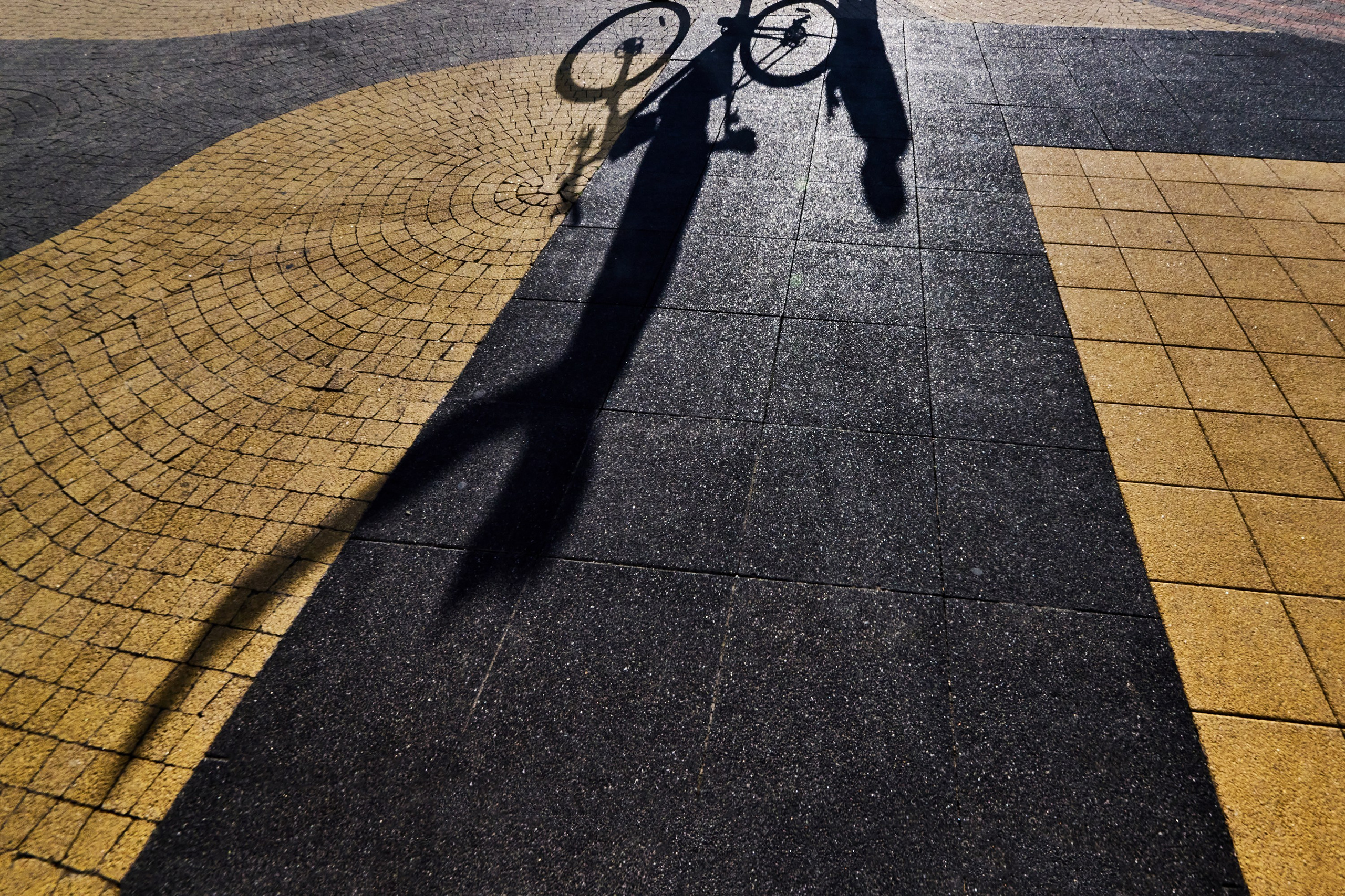 Жизнь, люди, стрит, вокруг, животные, на улице. Яркие фото на Чёрном море