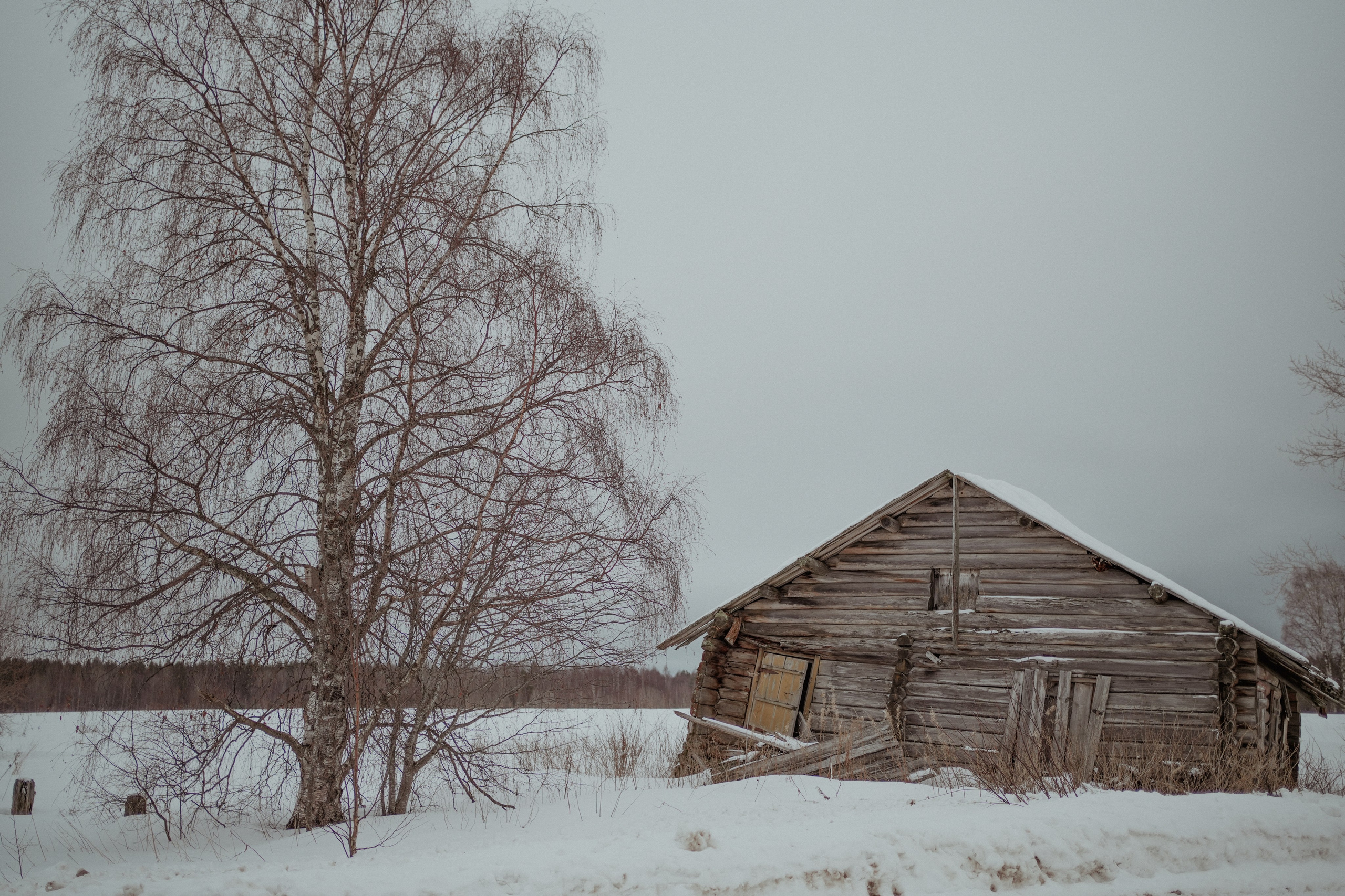 Масленица в Кенозерье — репортаж экспедиции. Видеограф в Санкт-Петербурге Анастасия Коок