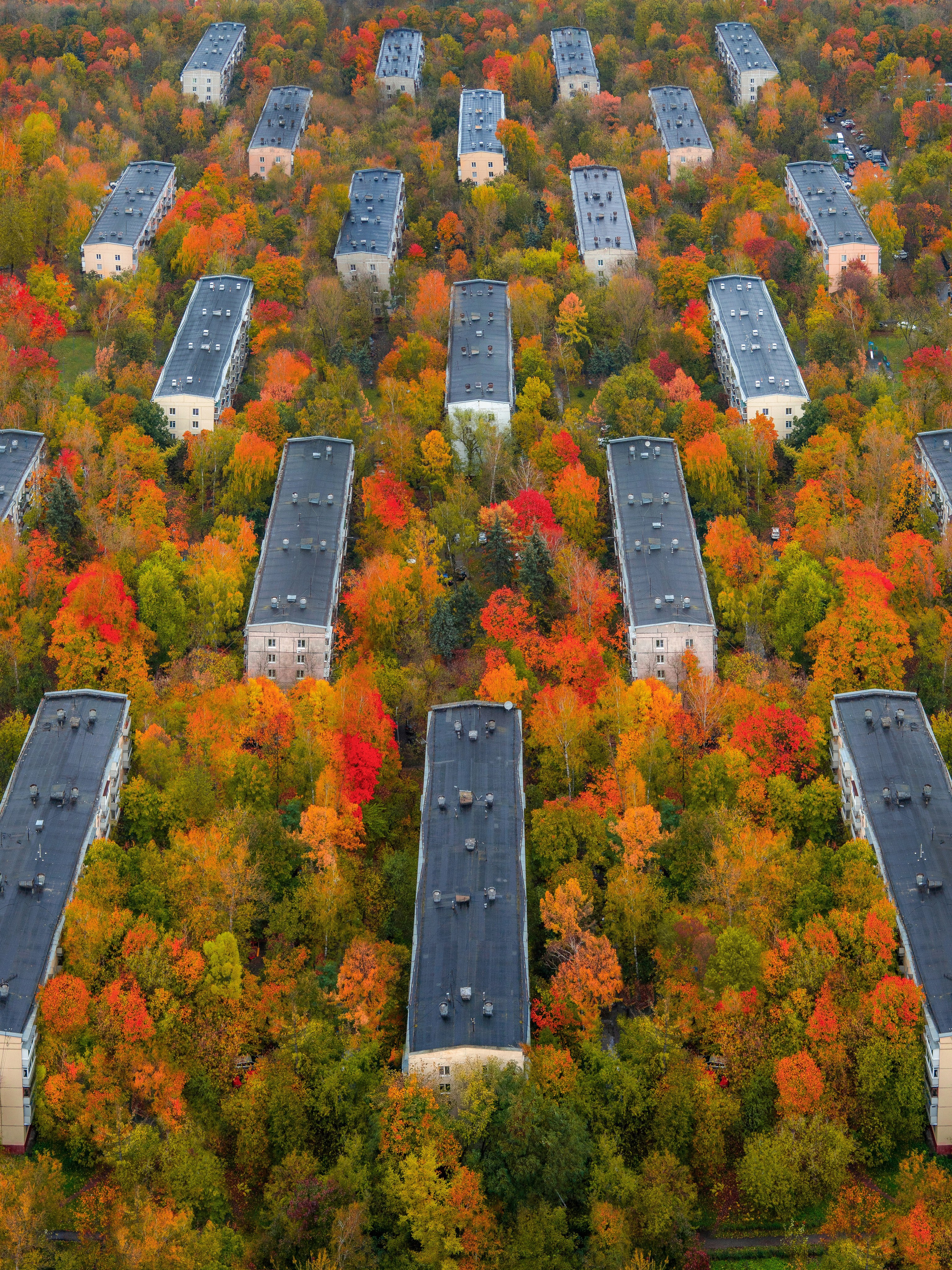 Городской пейзаж. Эд Тихонов. Городской фотограф