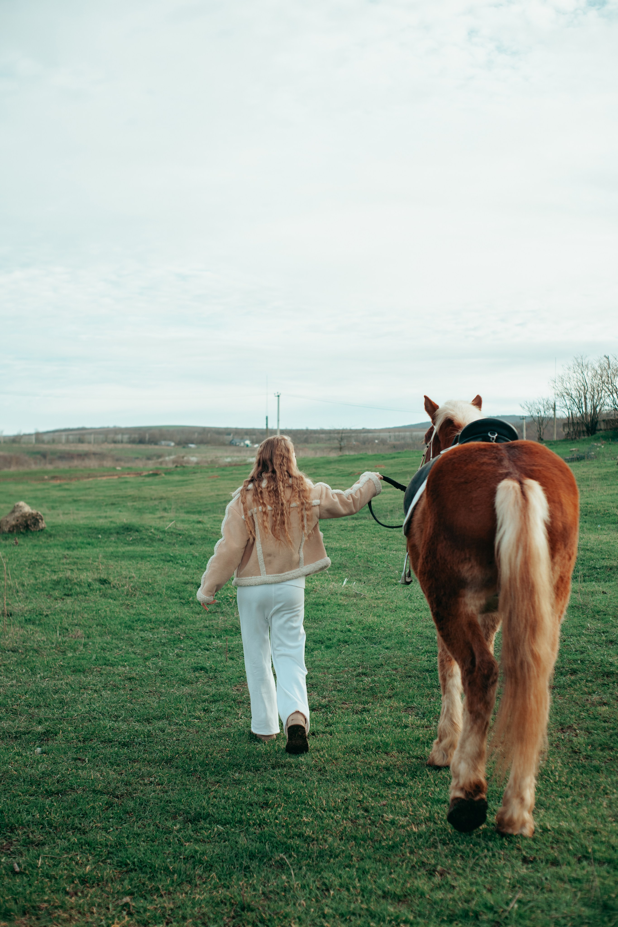 Лошадка. Фотограф Алёна Сергеевна Aloha_chë