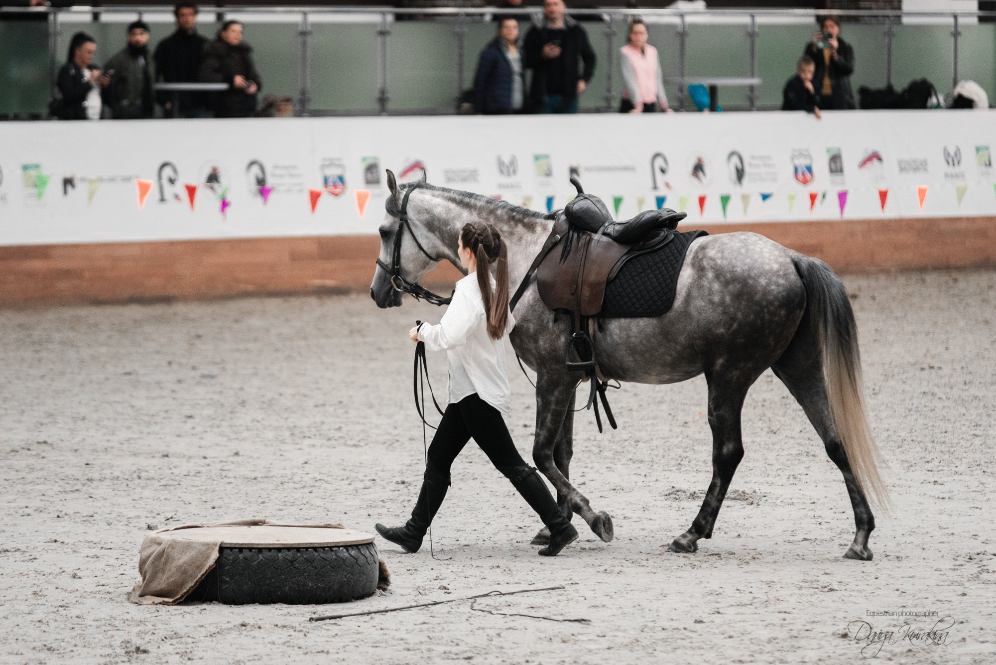 8-я международная выставка Конная Россия. Конный фотограф Куракина Дарья • Фотосессии с лошадьми