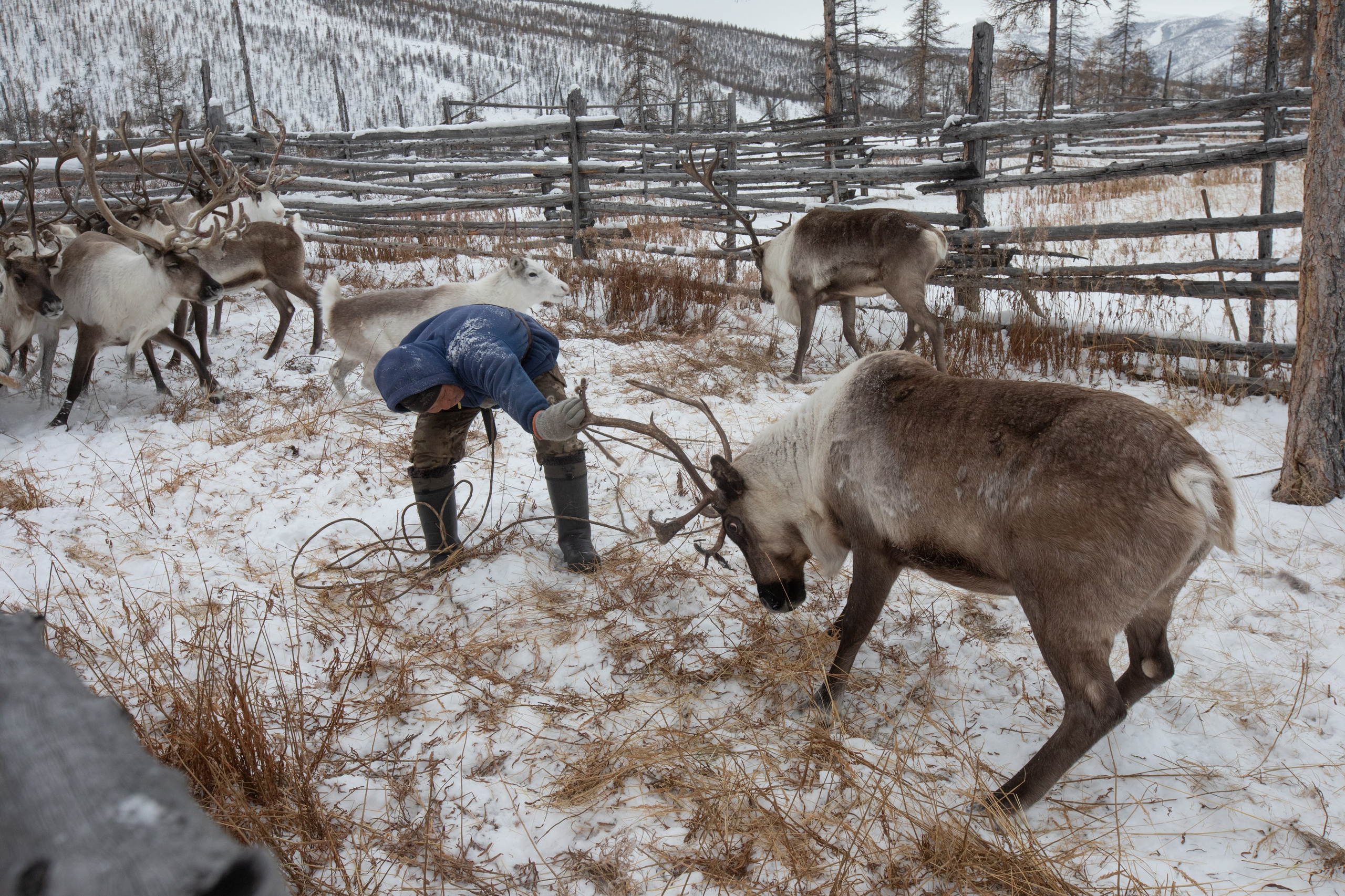 Не забудь накормить озеро. Natalya Madilyan