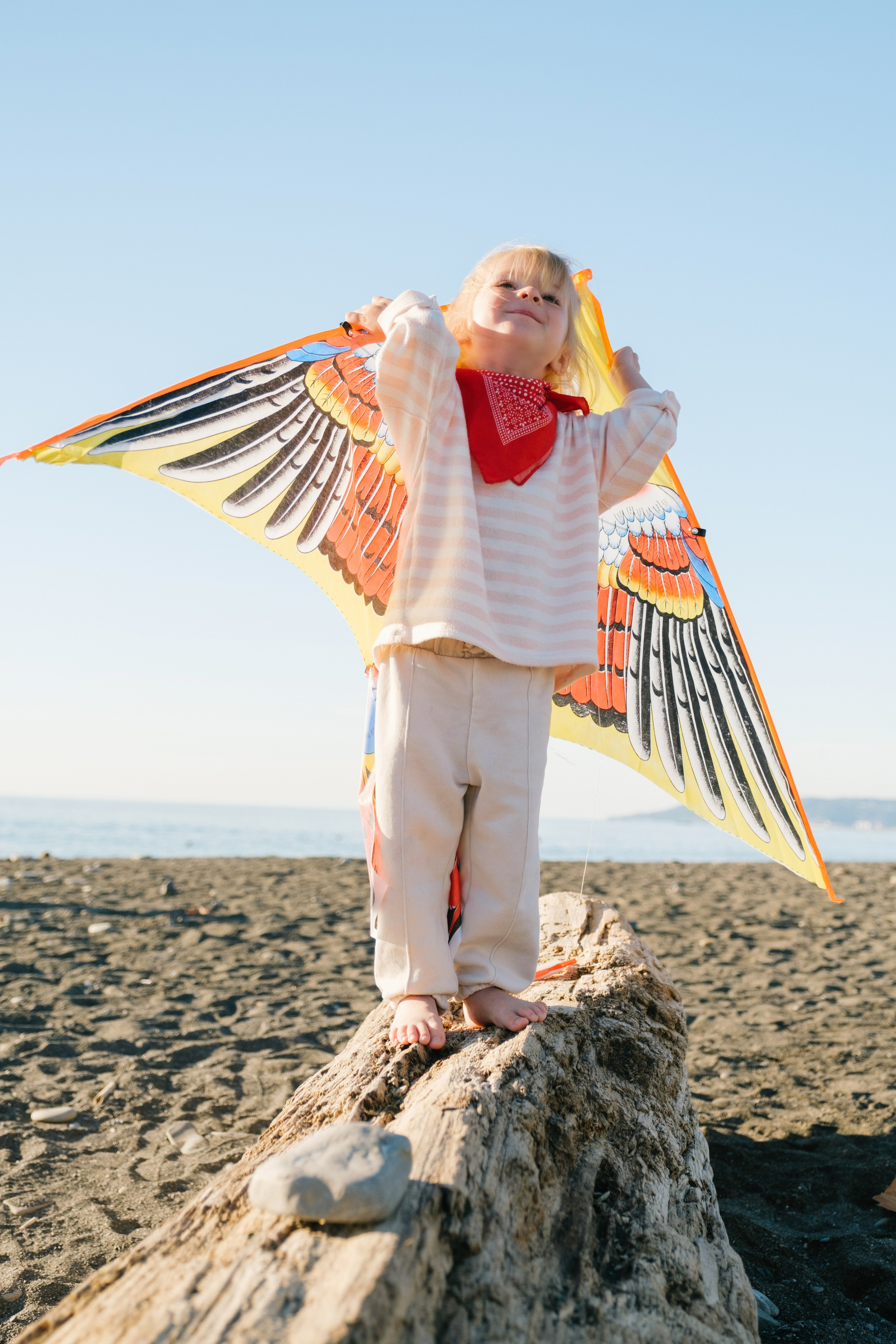 Воздушный змей. Свадебный Видеограф Фотограф в Сочи