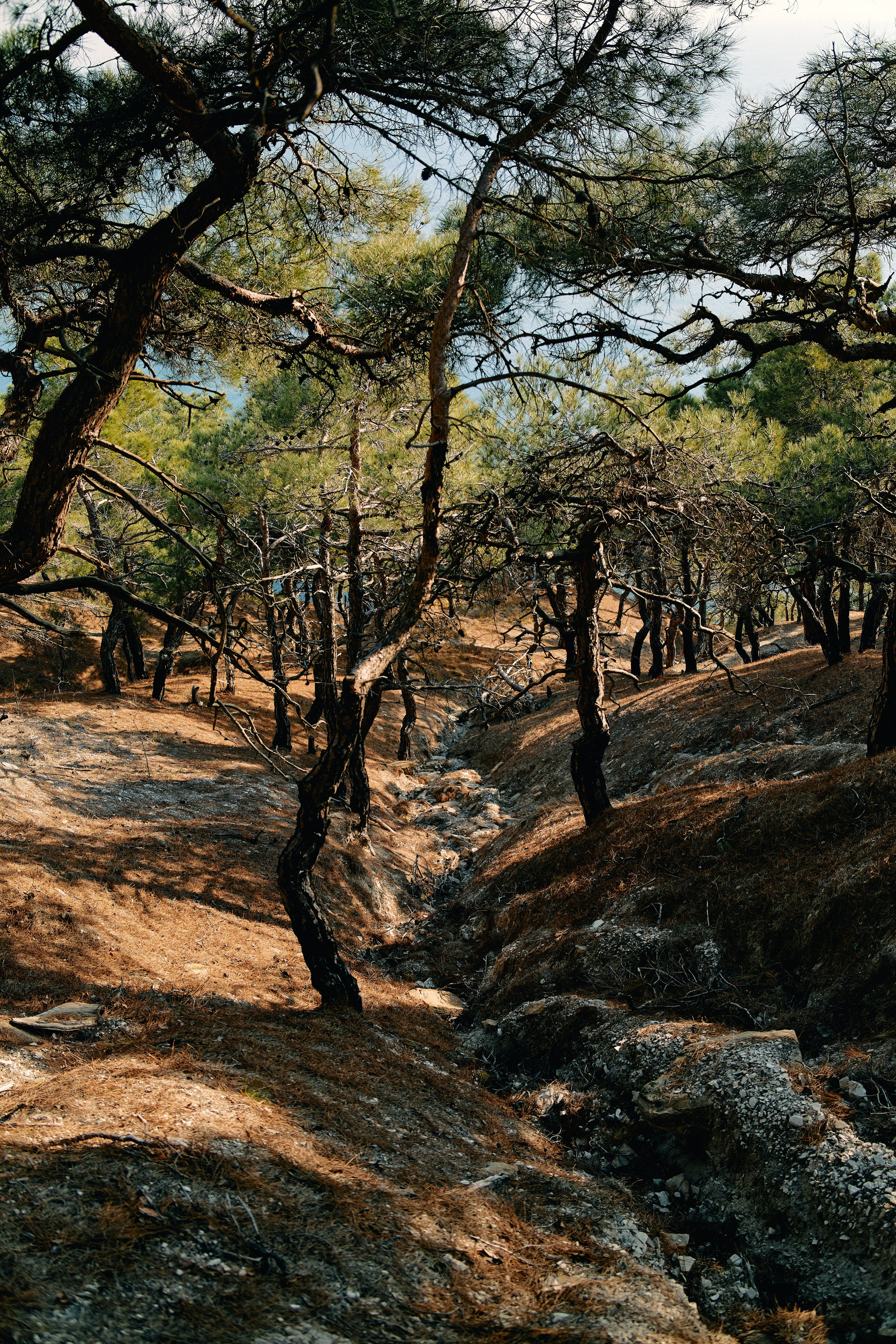 Юг России. Профессиональный Фотограф во Владимире, в Москве и в Суздале — Полина Романычева