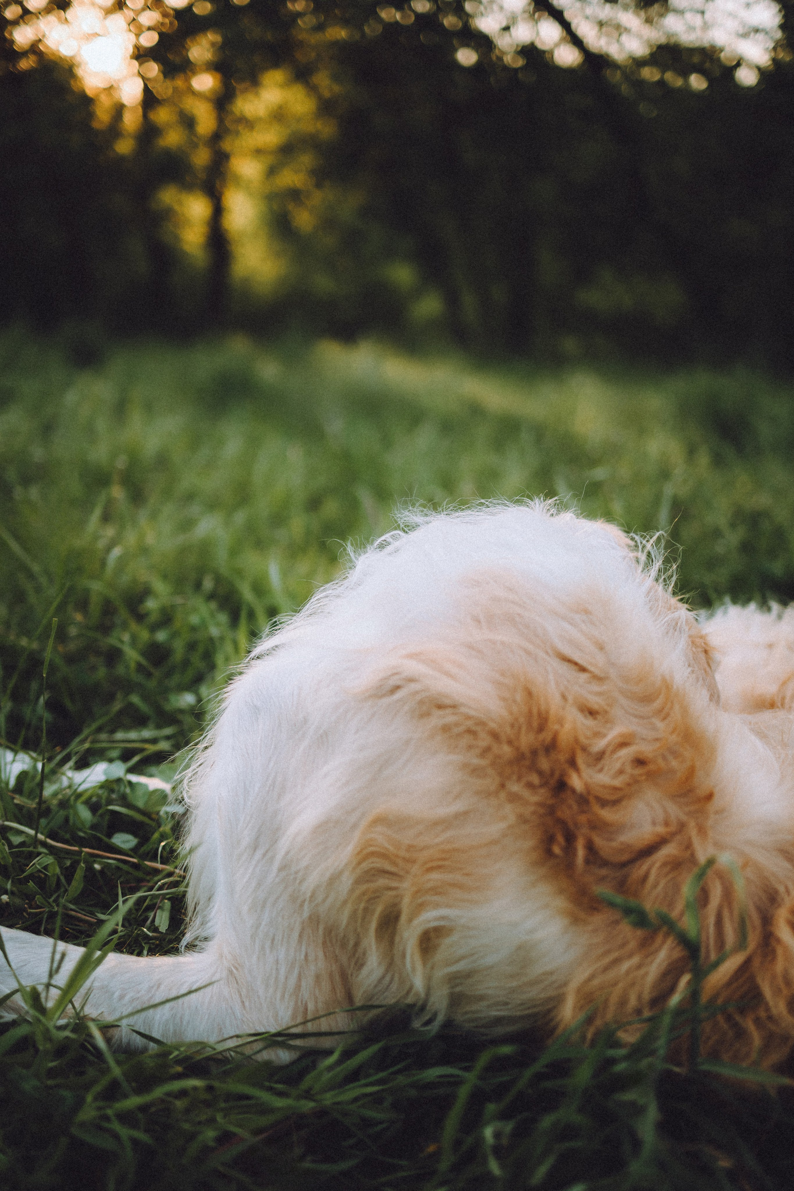 Илай, Зайка и их семья