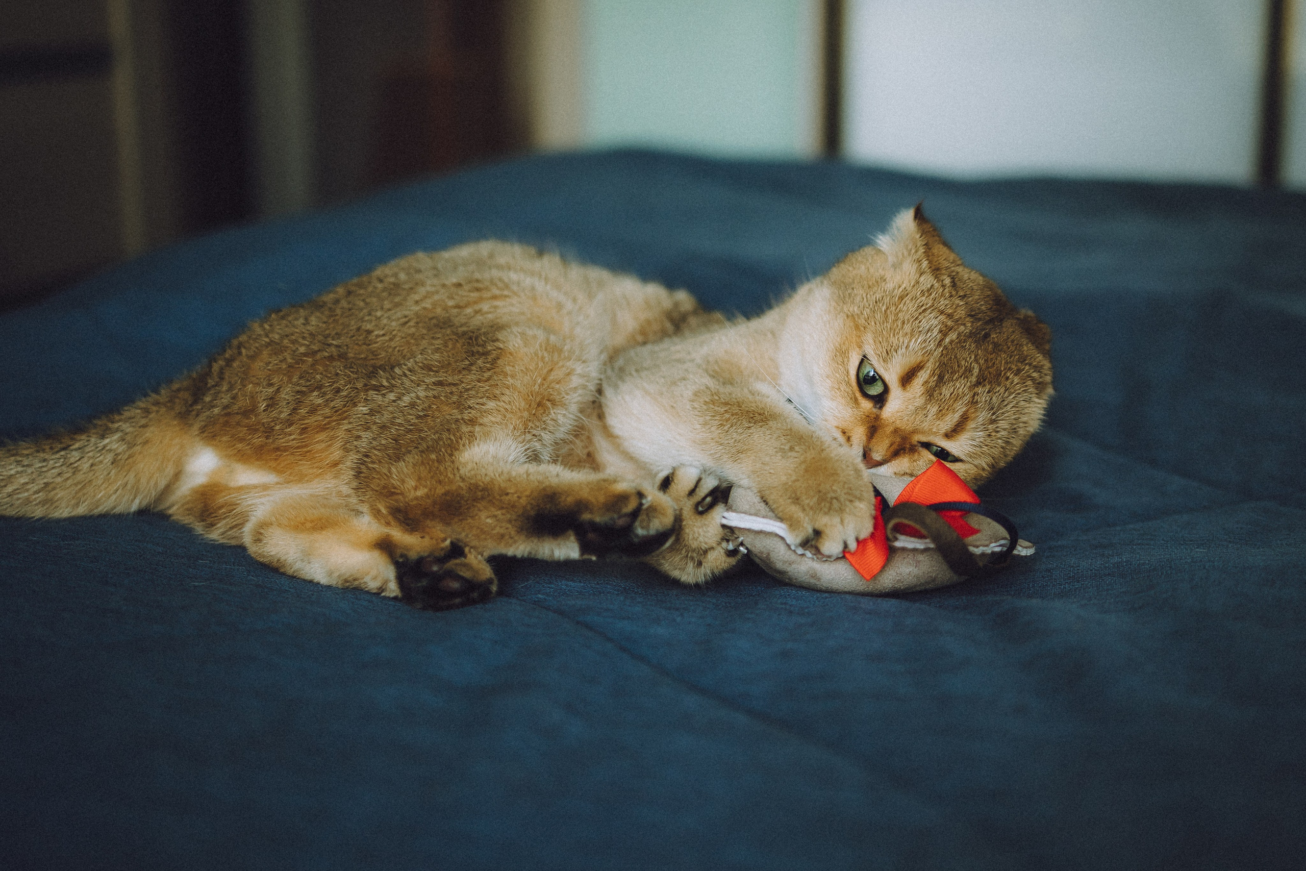 Генри и его семья