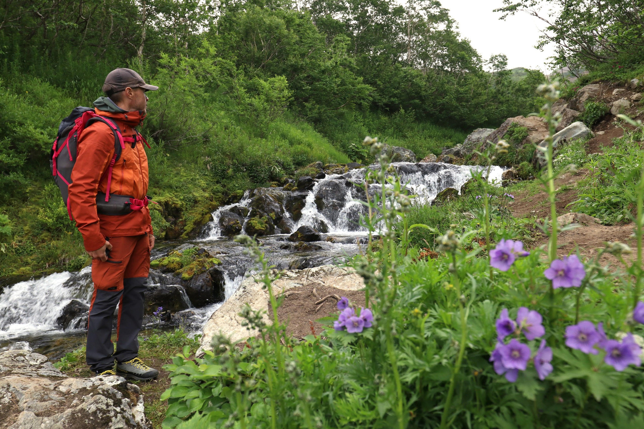Камчатка и о. Парамушир. Июль 2024. Путешественник-фотограф из Санкт-Петербурга Татьяна Свистулина