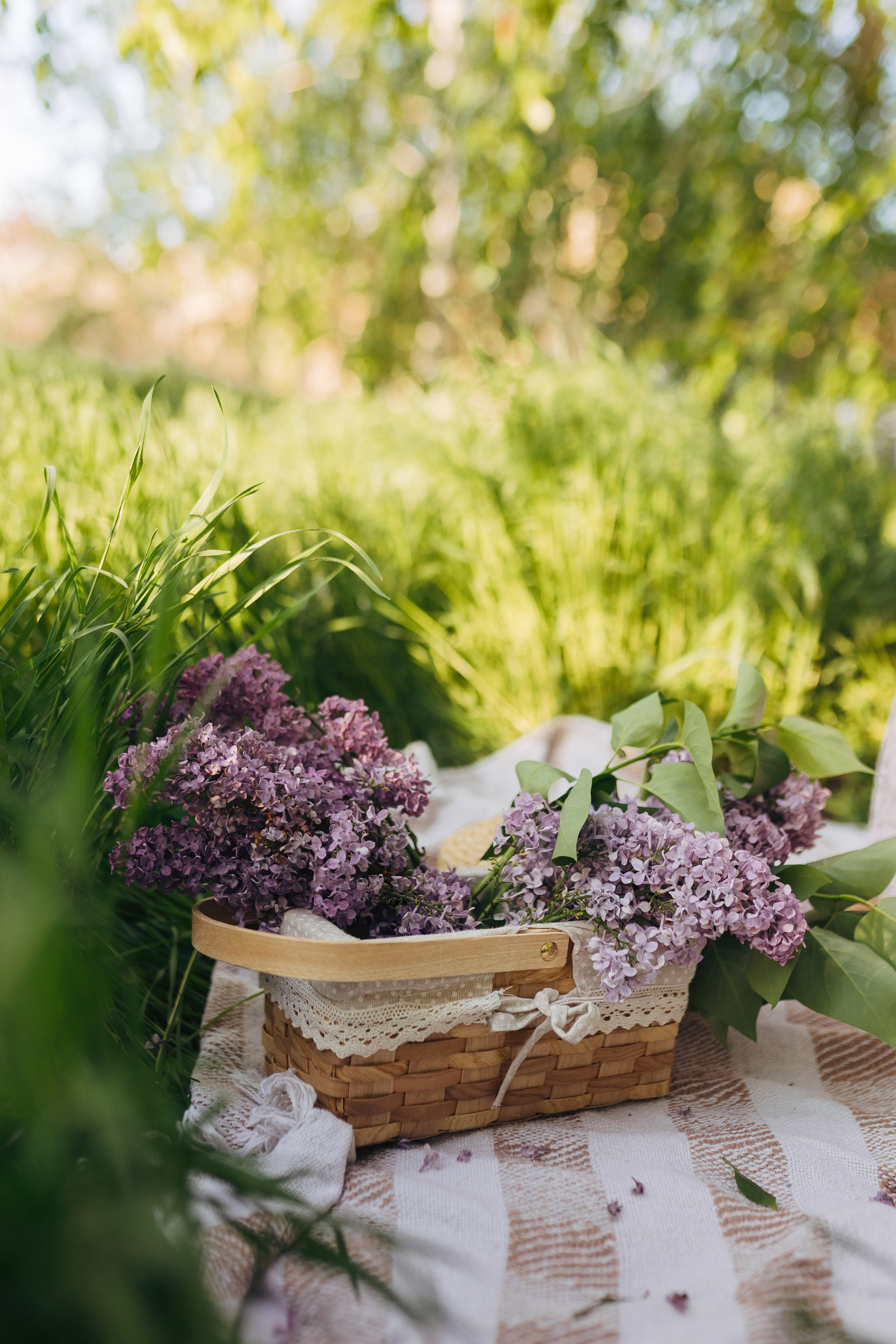История весной. Свадебный и семейный фотограф в Астрахани Заскокина Анастасия