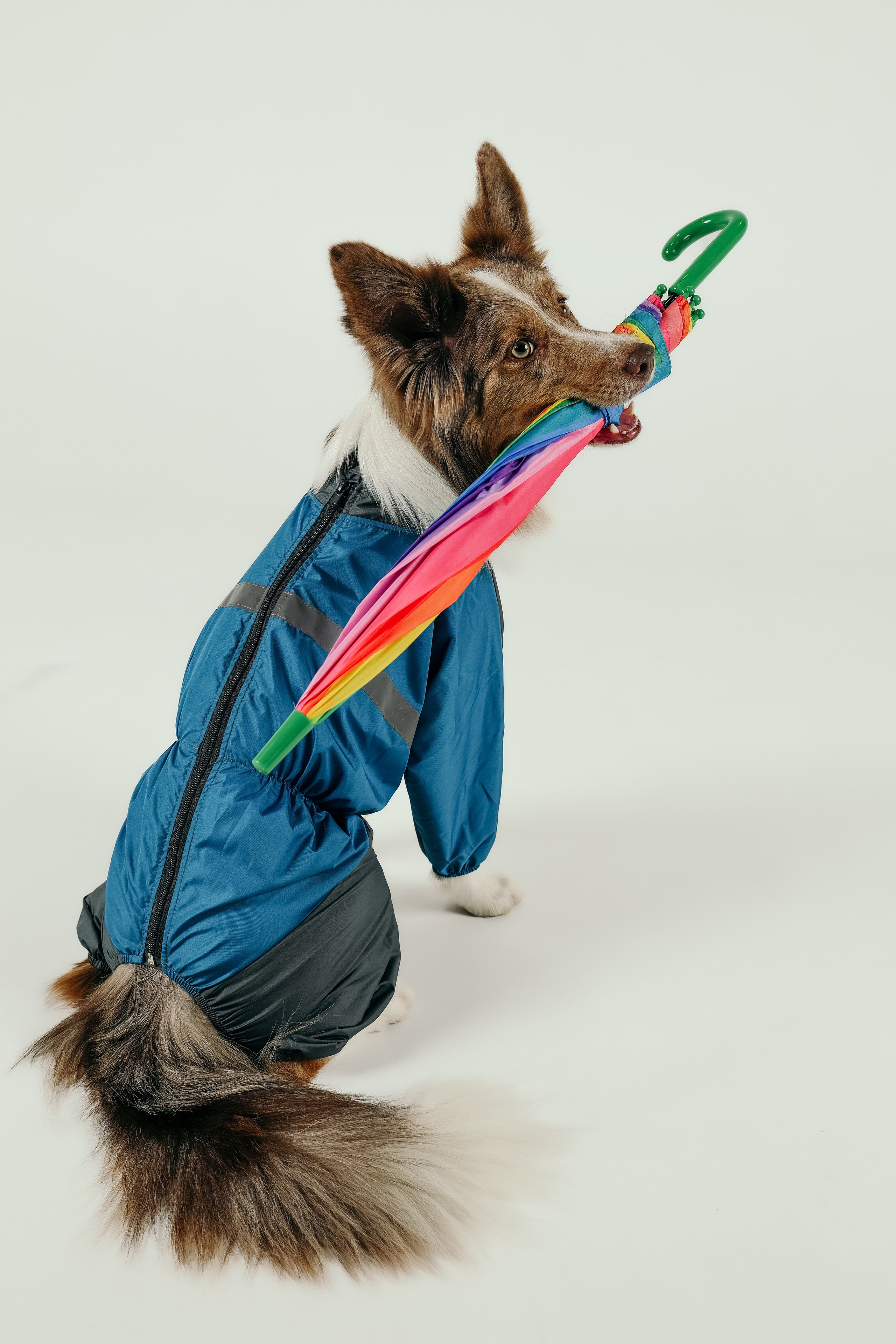 Для брендов. Фотограф- анималист Санкт-Петербург