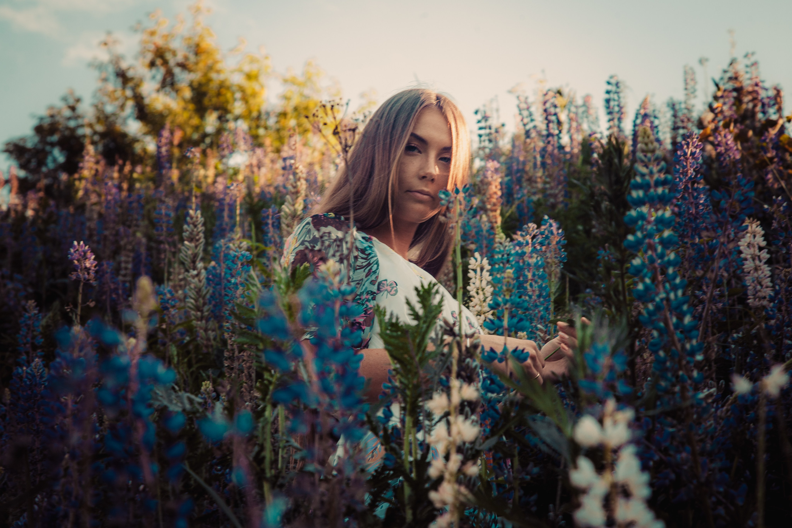 Юля — Люпины. Фотограф Михаил Коган — Москва 89267284460