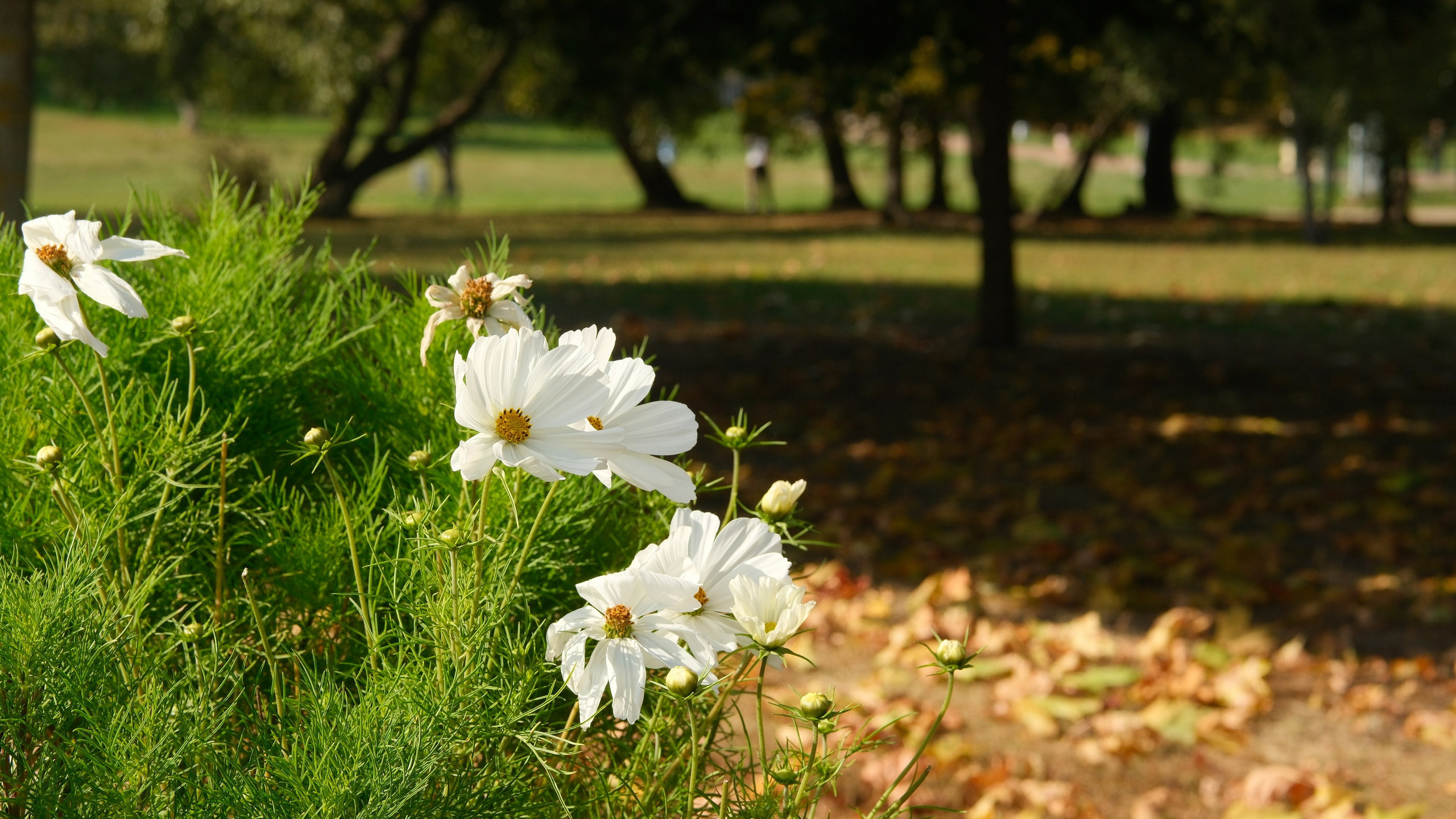 Осень 2023. Улица, люди, жизнь…