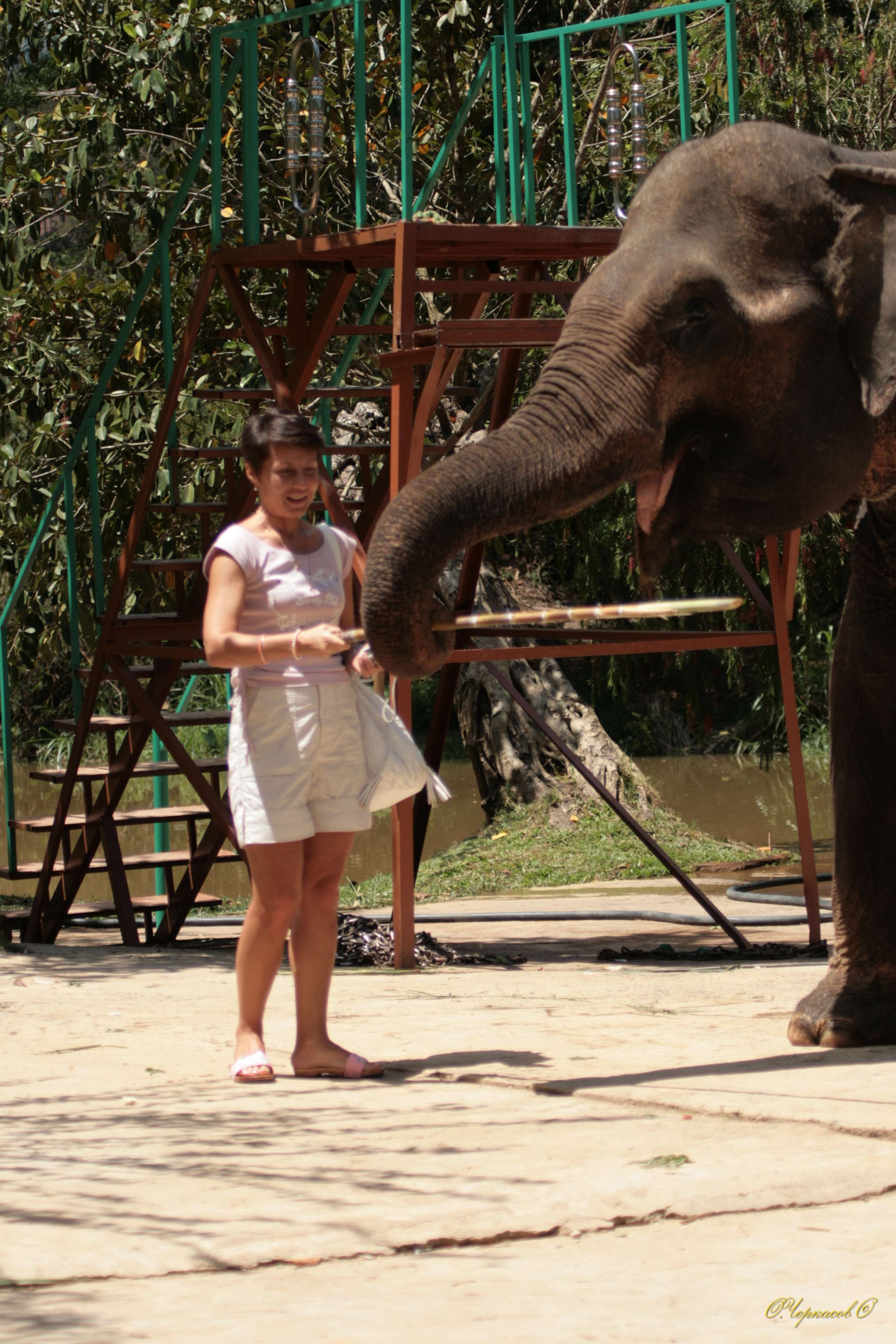 Вьетнам 2008 г. Улица, люди, жизнь…