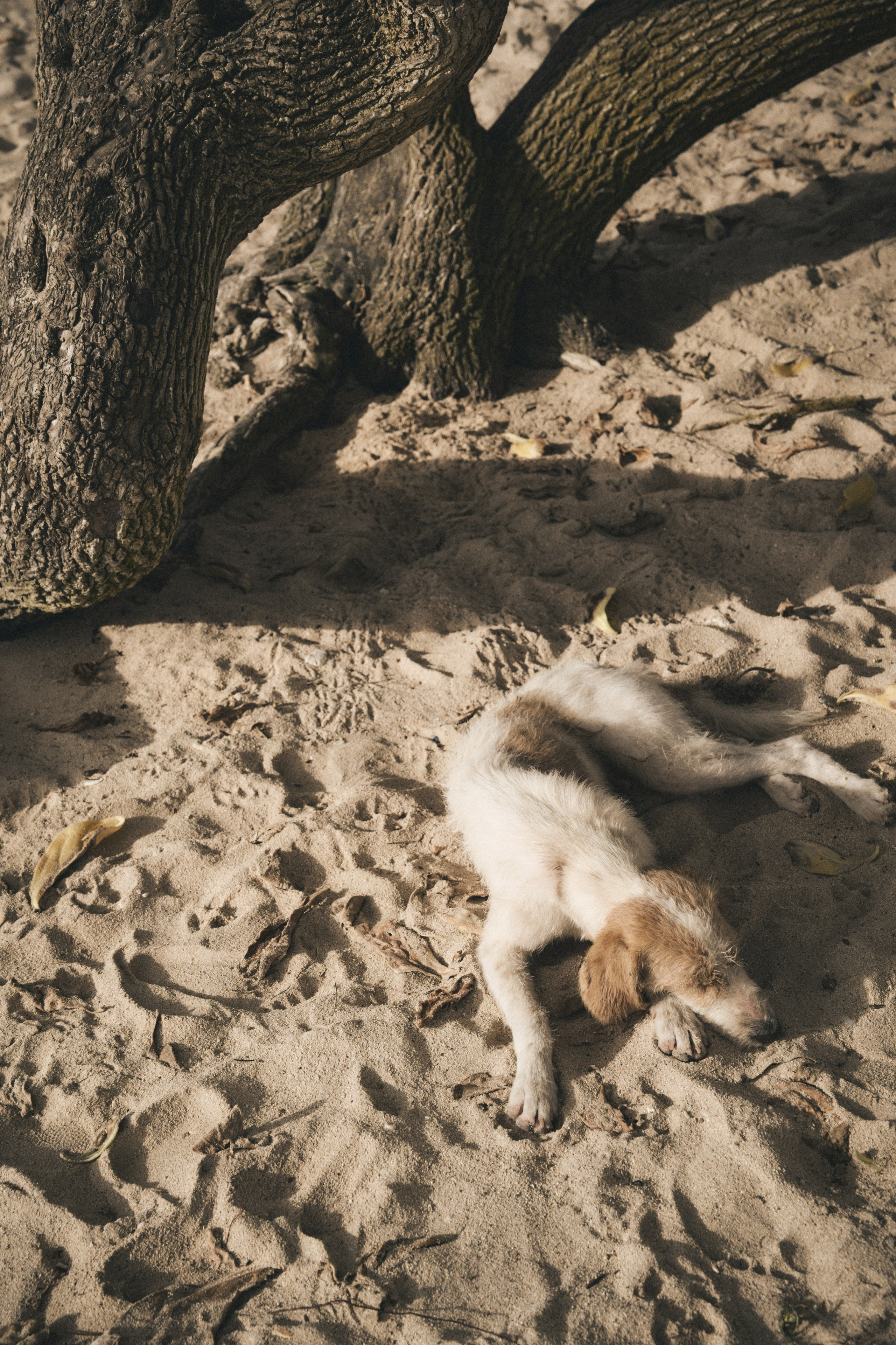 U Magazine x Выездная редакция. Фотограф Сурков Никита