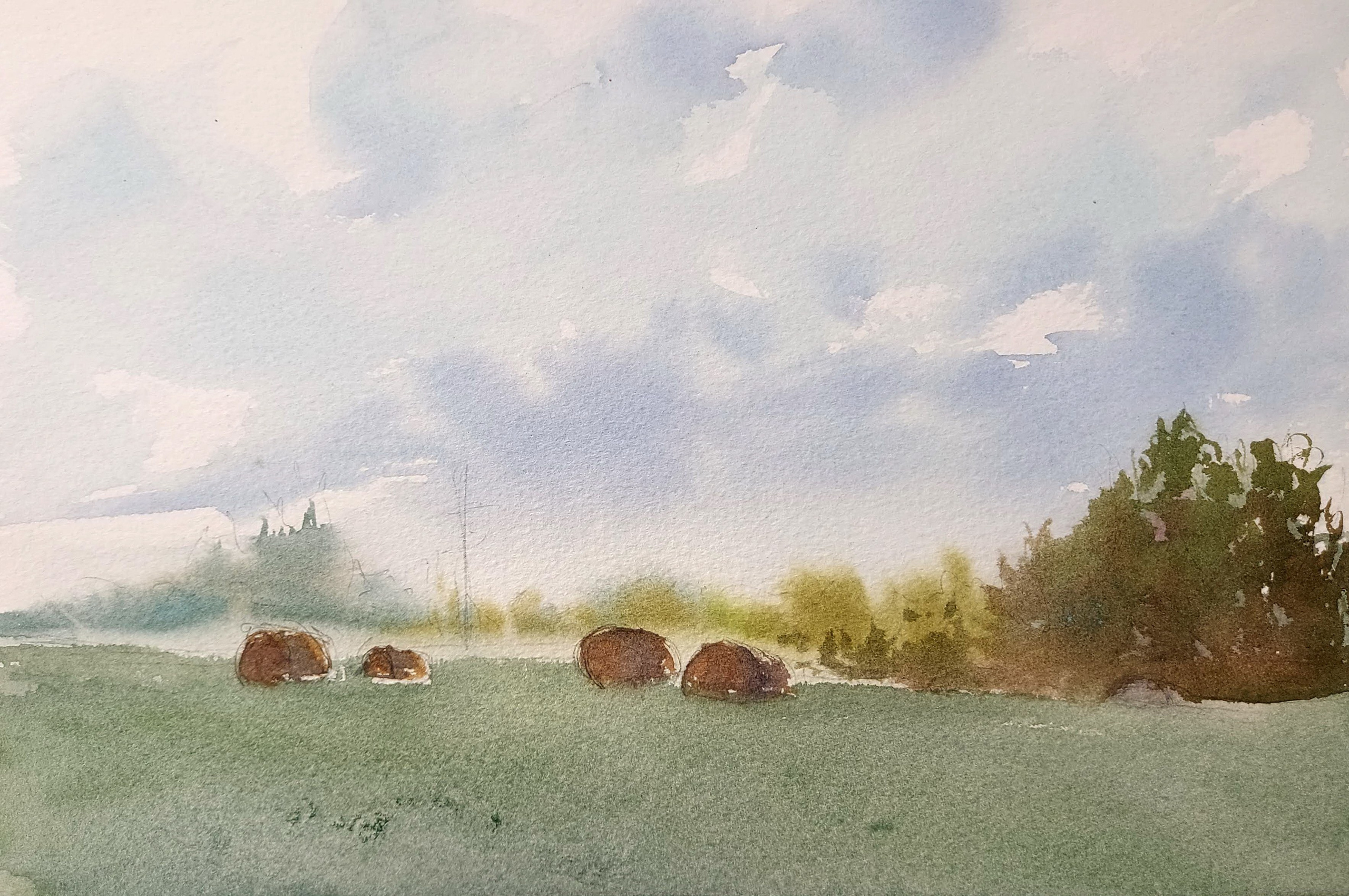 Tomsk Suburbs | Aug 2024 | A4