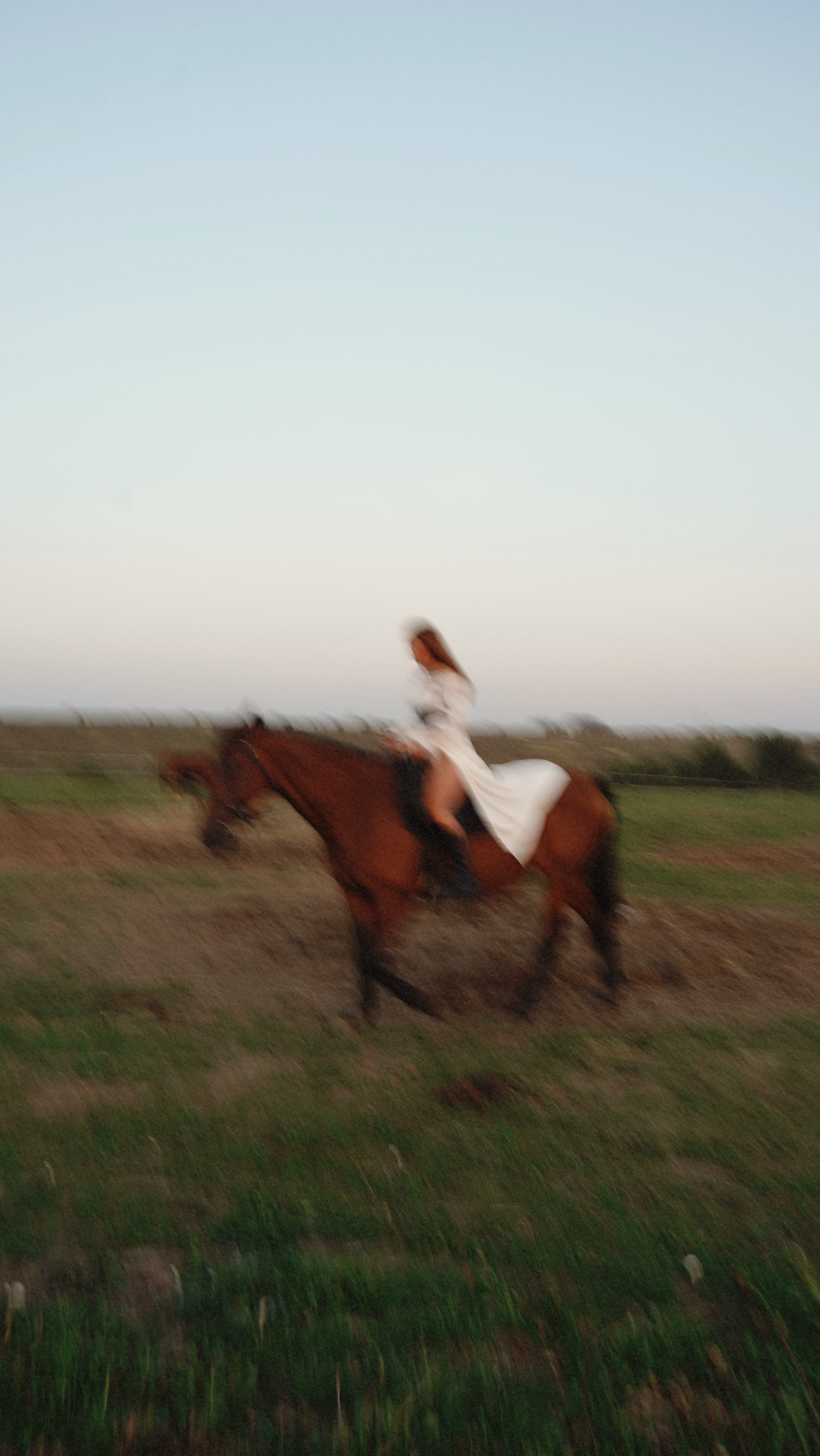 С лошадьми. Главная