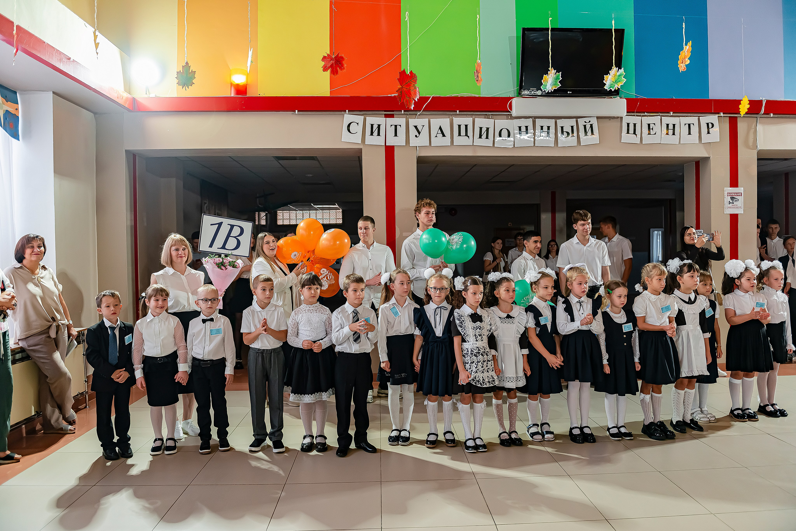 1 «В» | Гимназия № 3| г. Белгород |2024. ALBUMIA