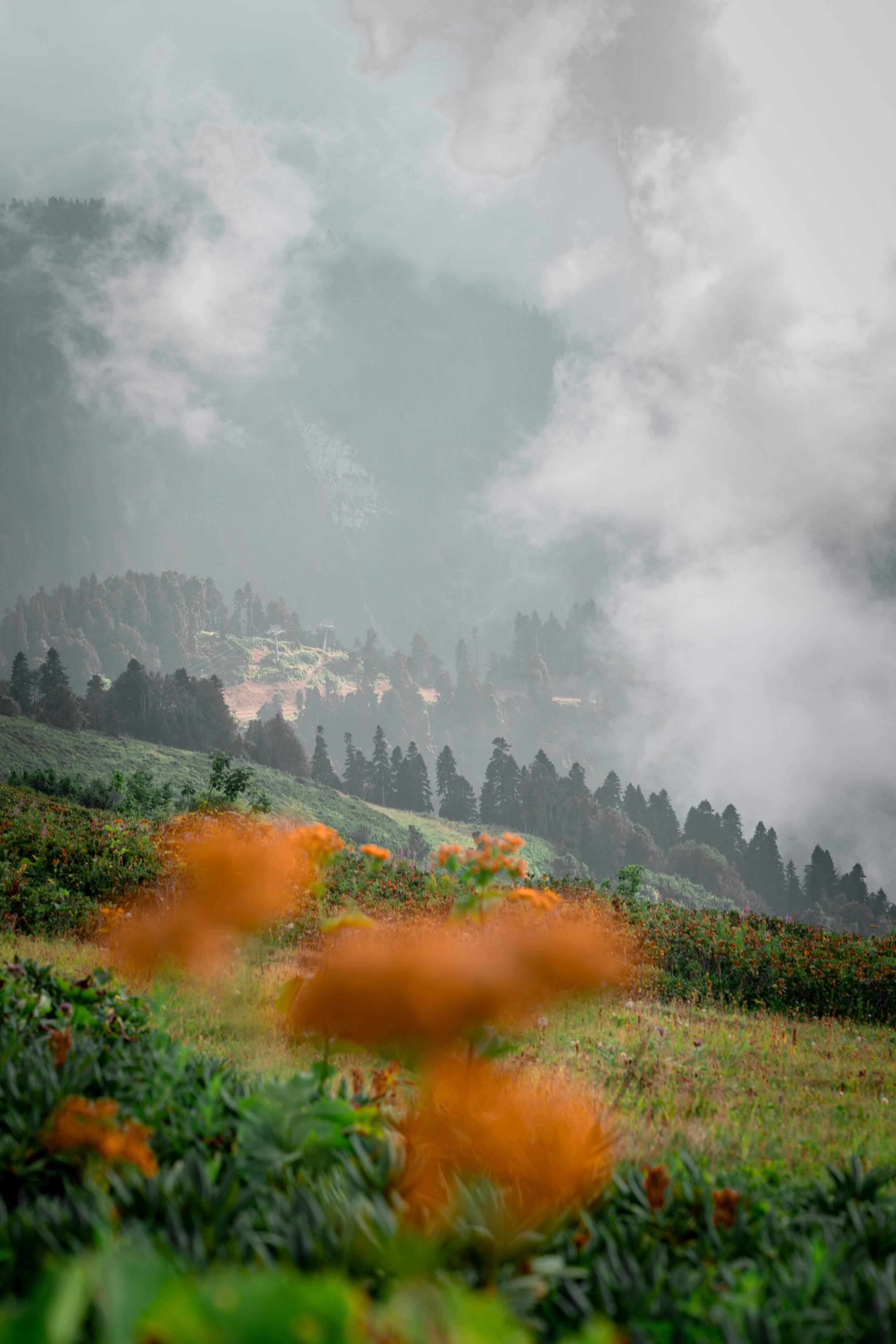 Сочи. Фотограф Александра Волкова | Волгоград