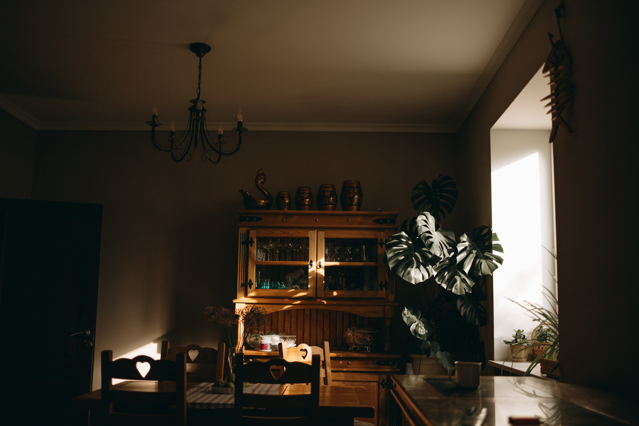 Софа и ее хвостики. Фотограф — Анималист | Санкт-Петербург