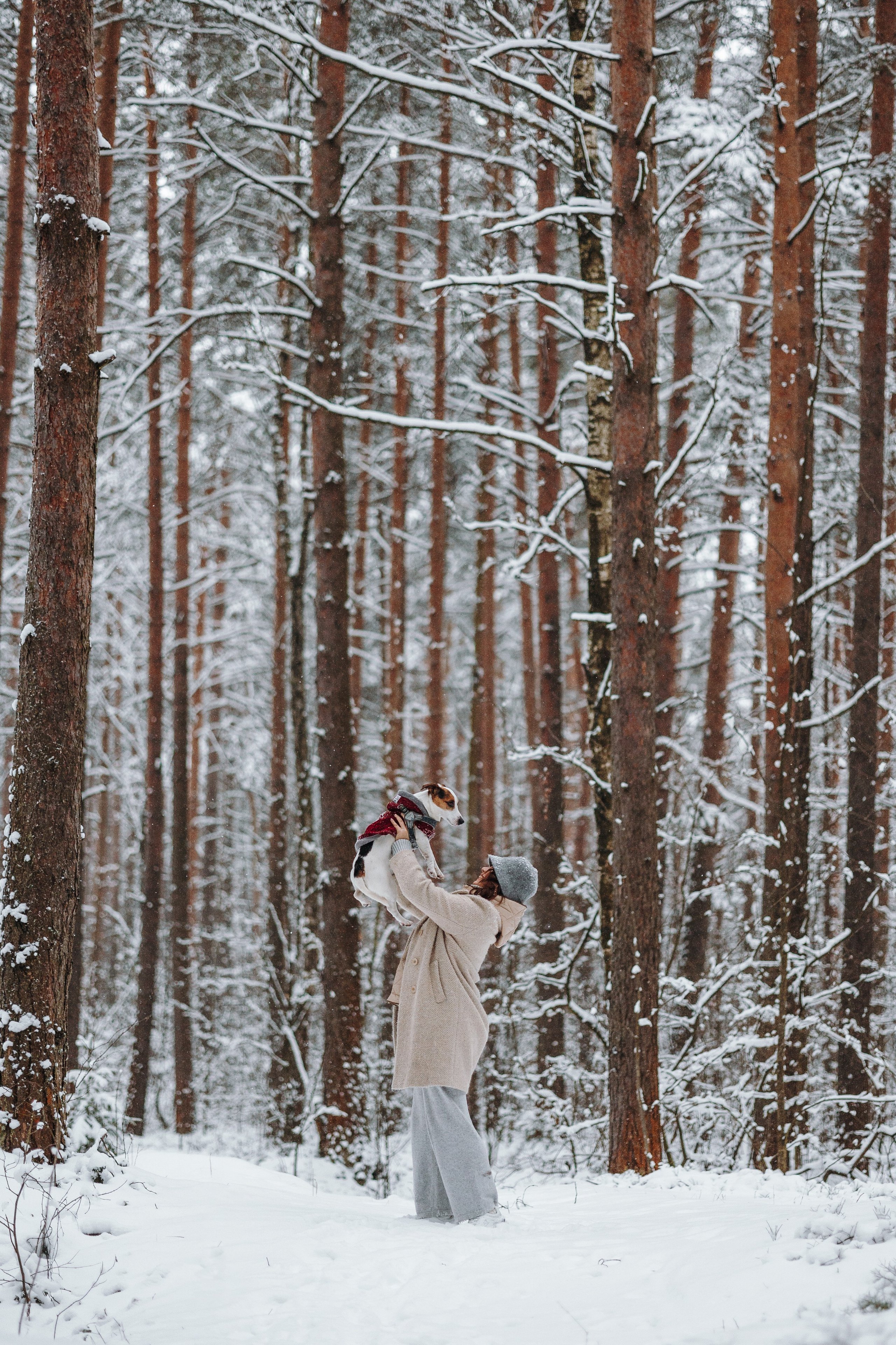 Мики и его семья. Фотограф — Анималист | Санкт-Петербург