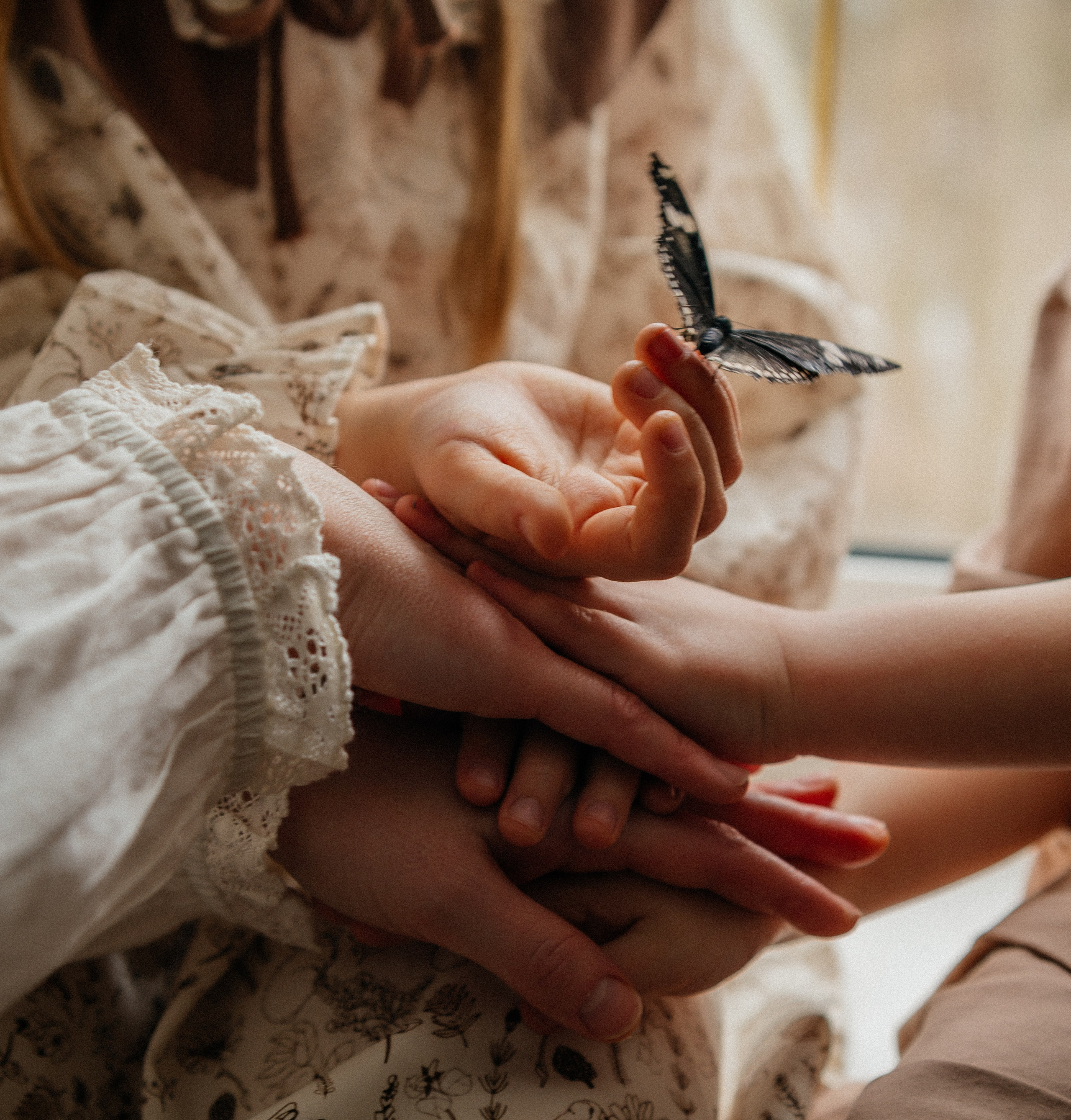 Butterfly. FotoTanya. Раменское/Жуковский/Бронницы