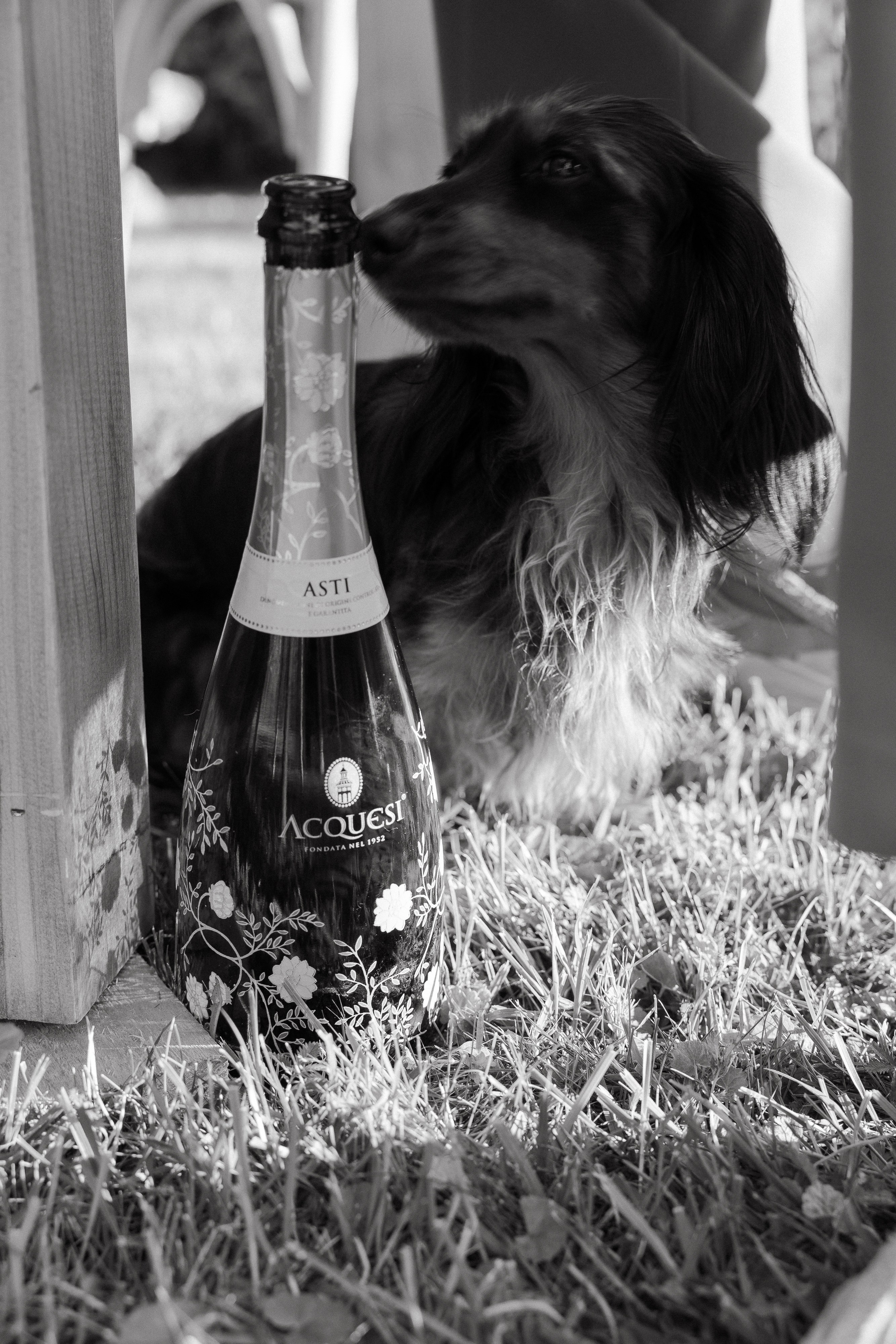 Соня и Никита. Свадебный фотограф Таня Караисаева