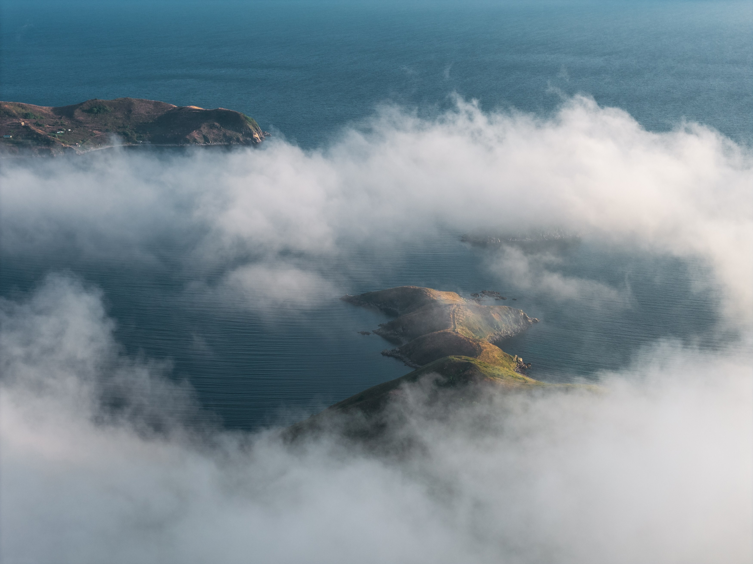 Весеннее Приморье. Май