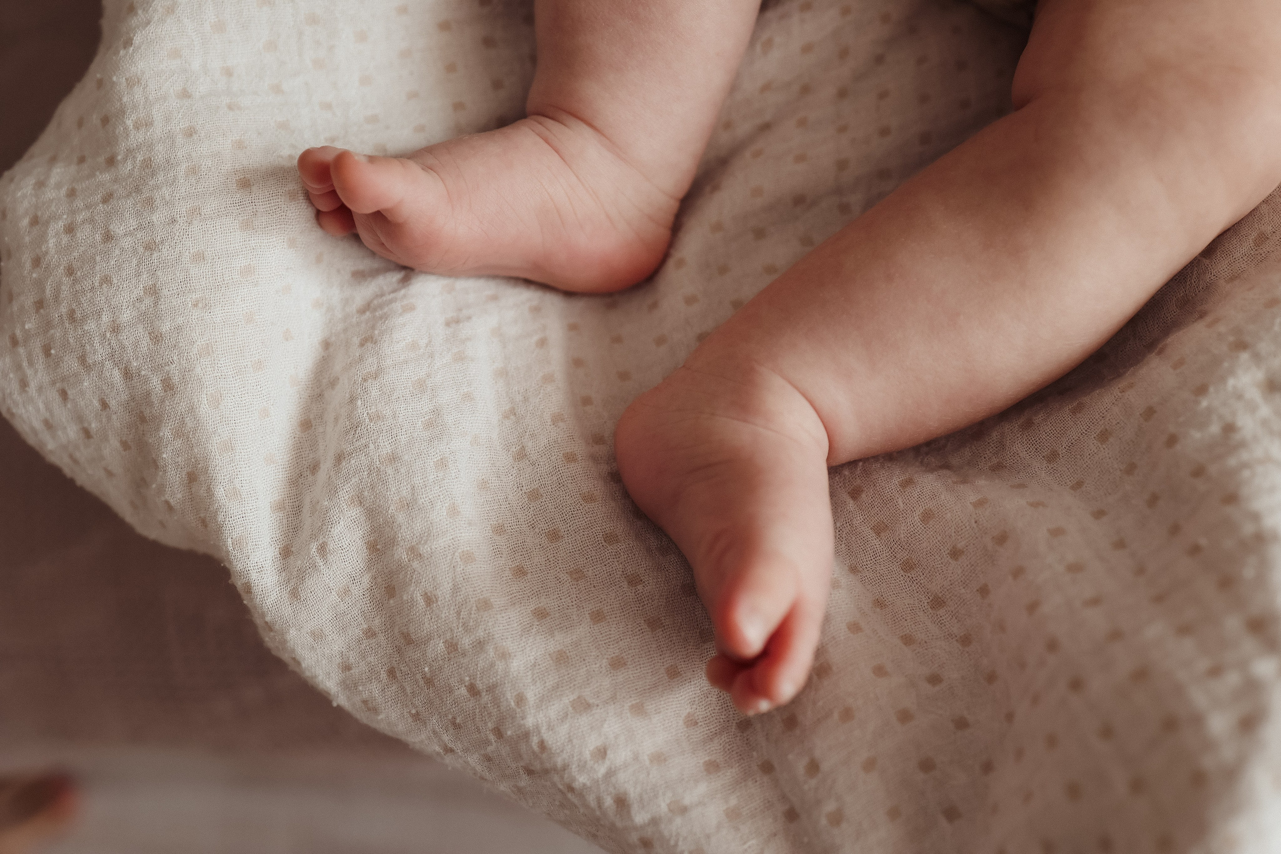 Семейная. Семейный фотограф Колосова Полина