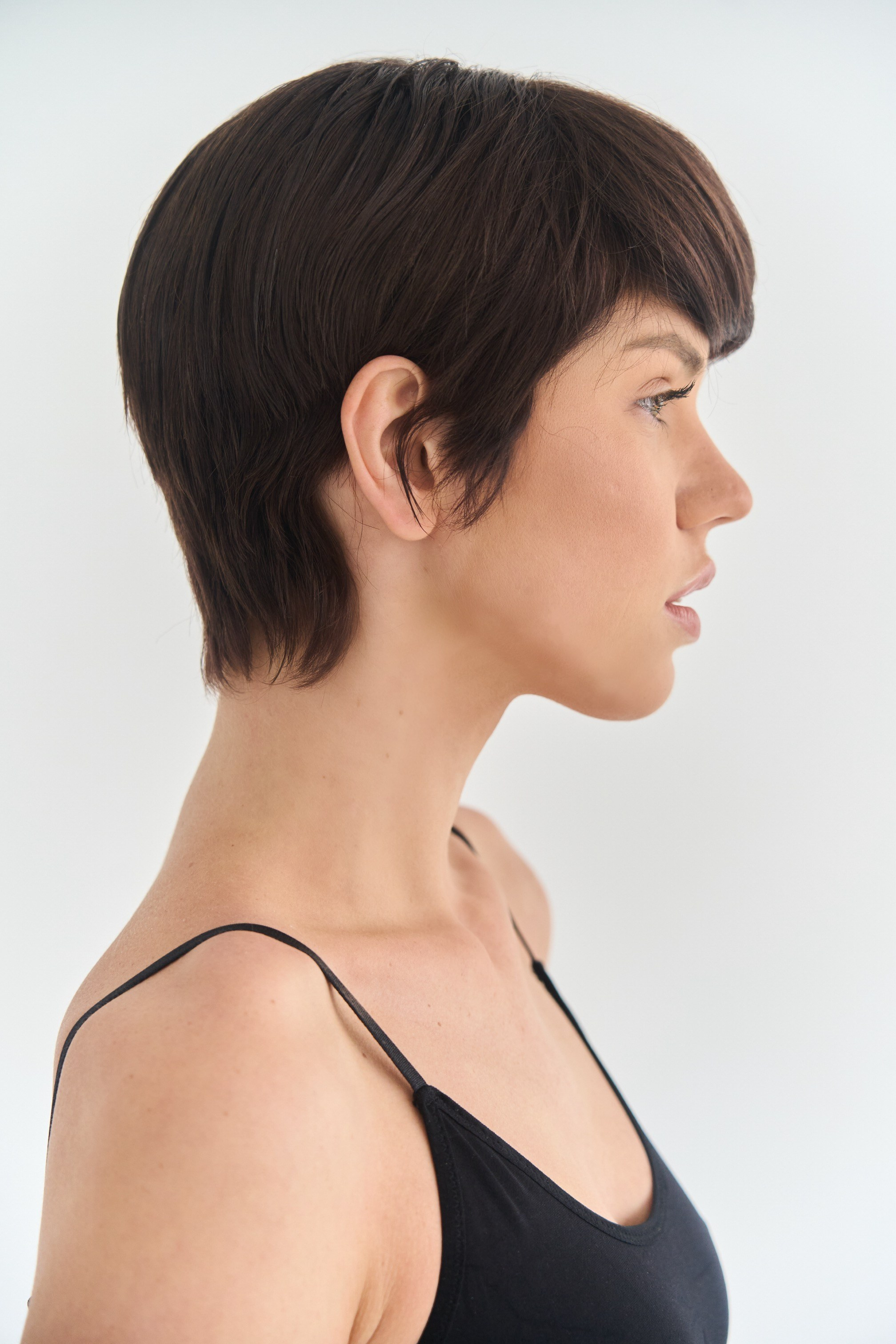 Снепы. Главная