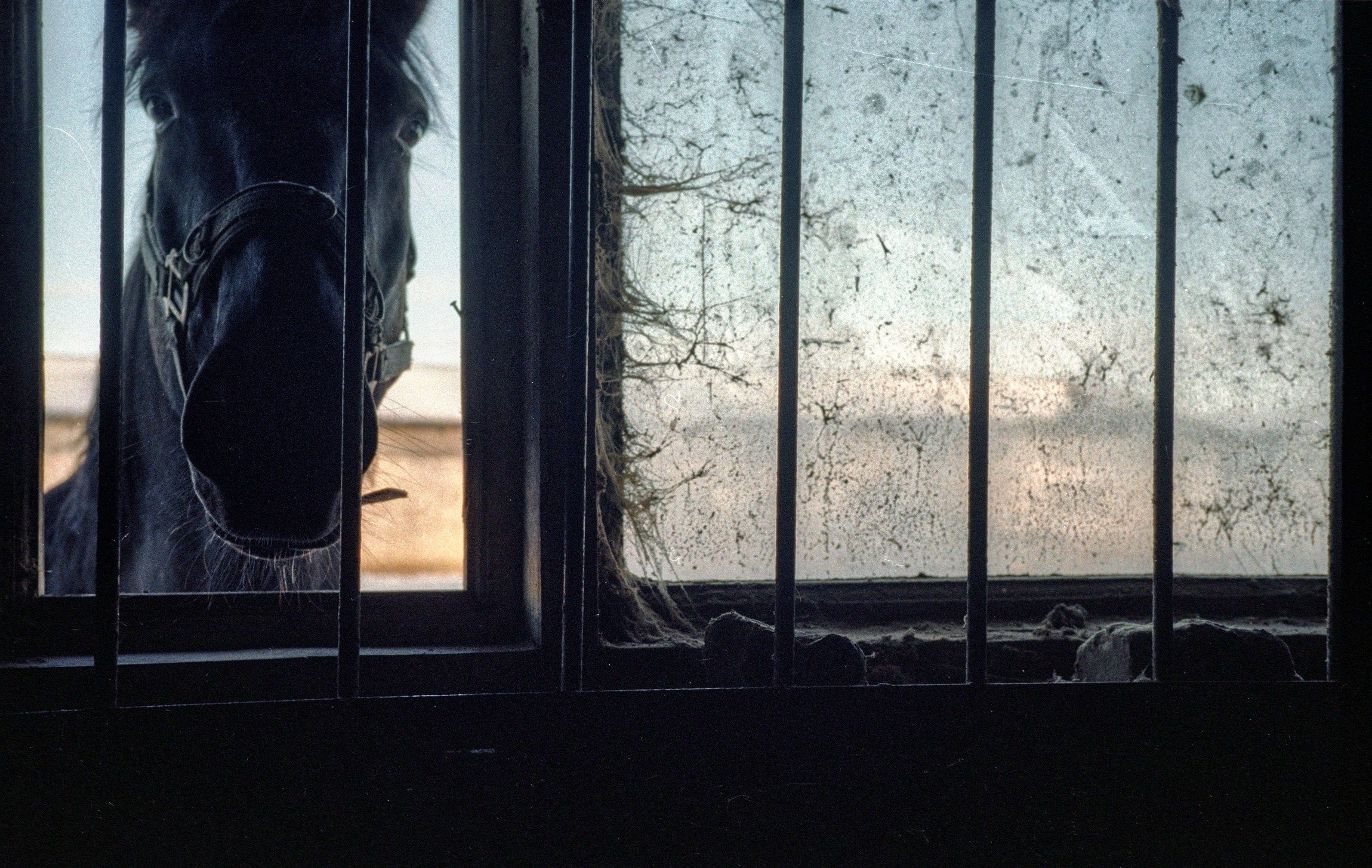 Пленочная фотография Олег Кузнецов. Artkapella|Олег Кузнецов