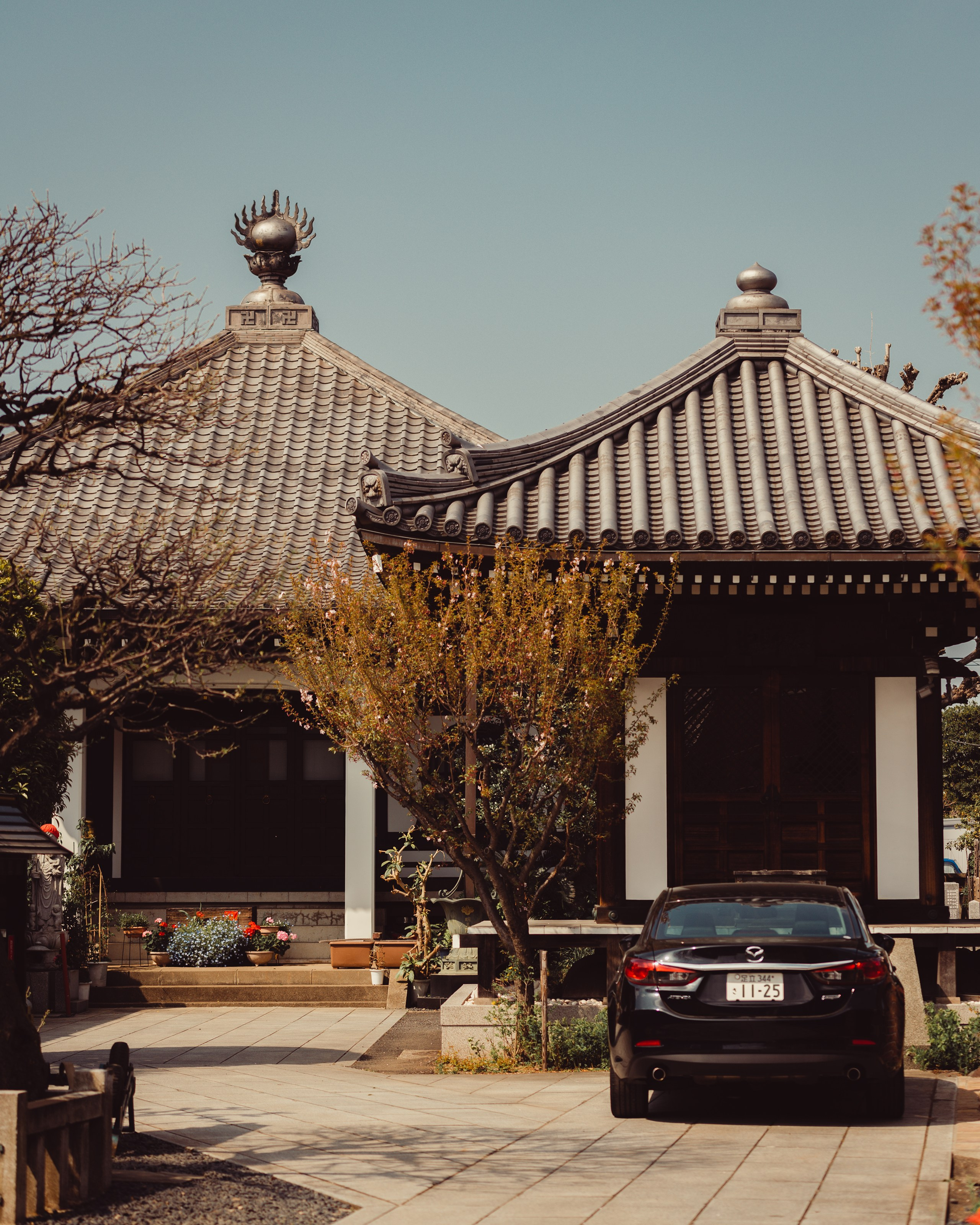 Japan. Photographer in Tokyo Anatolii Ozarto